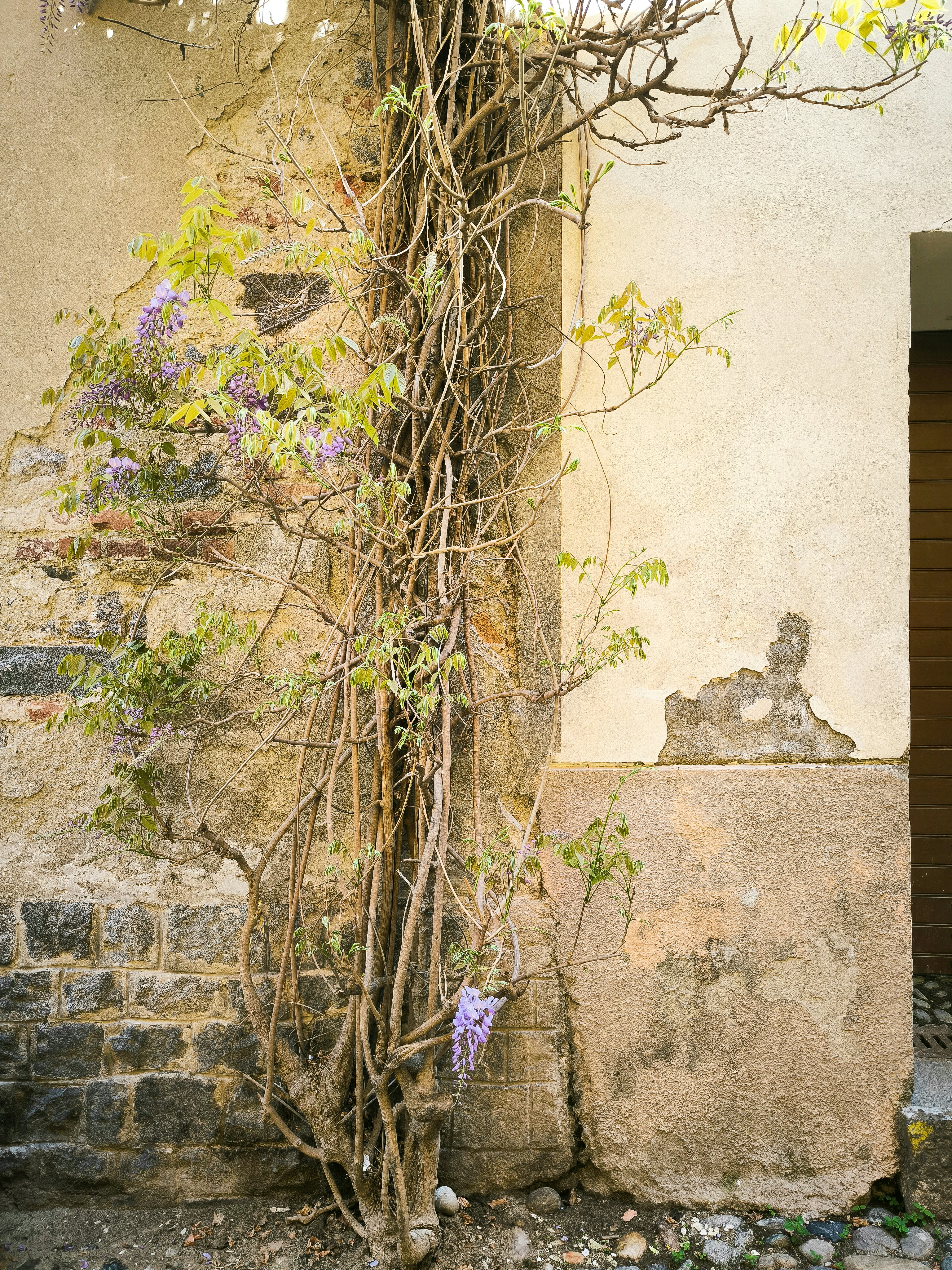 an old building with vines growing up the side of it