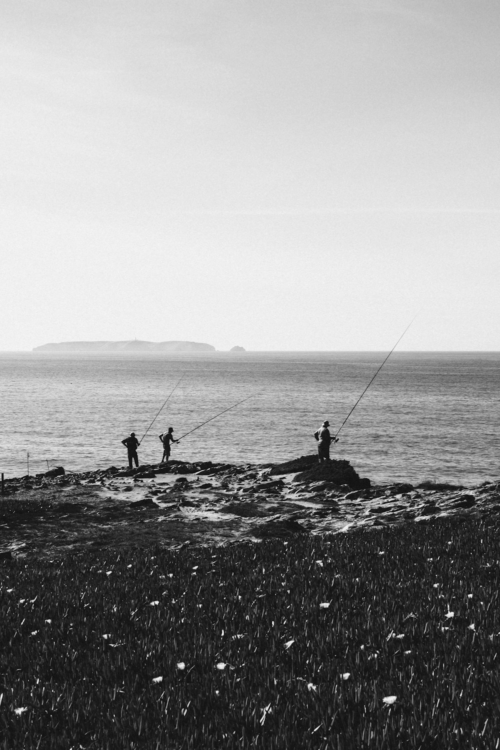 a group of people standing on top of a beach next to the ocean