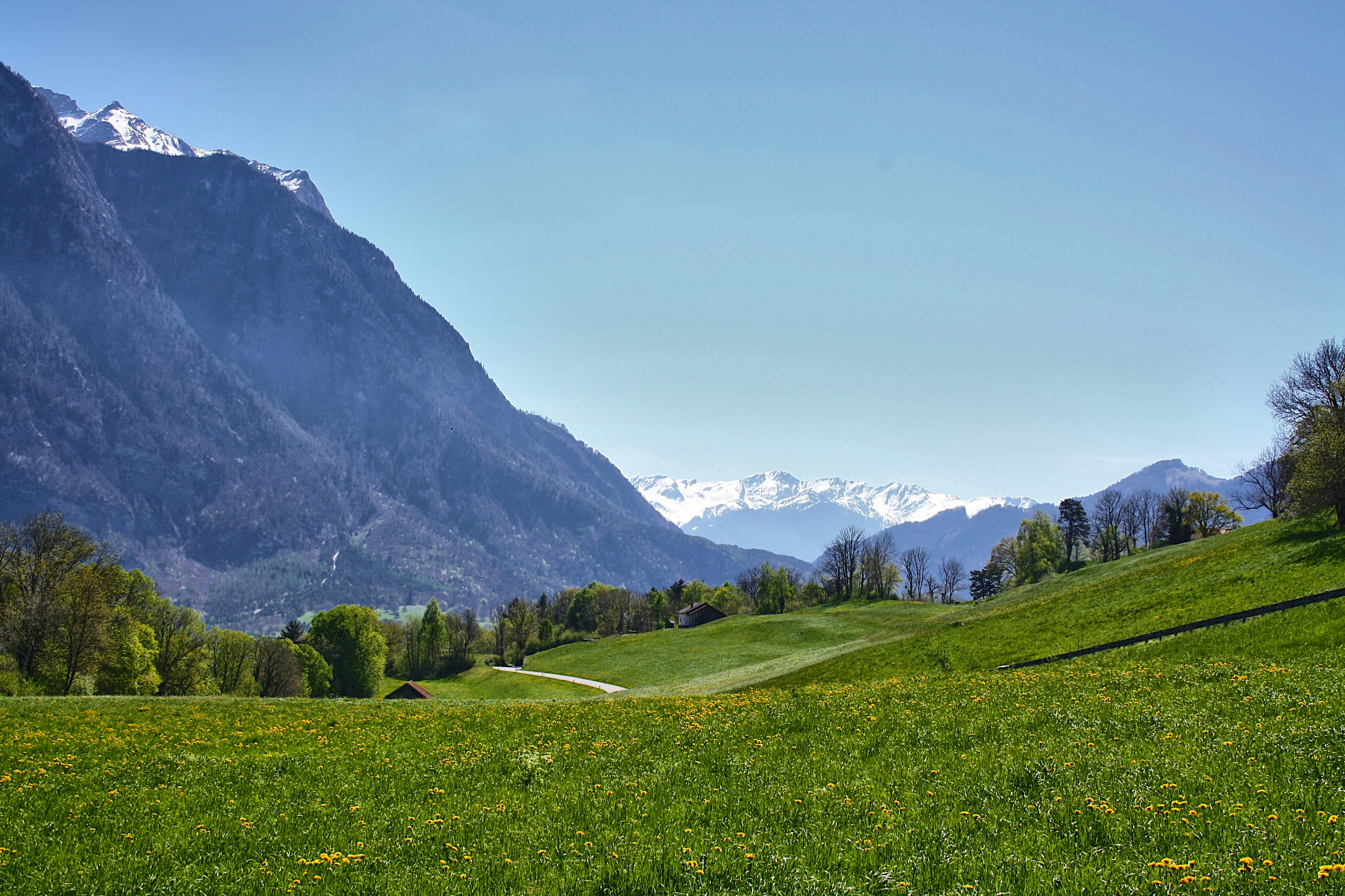 Rhine Valley – Budgeting & Cost Expectations