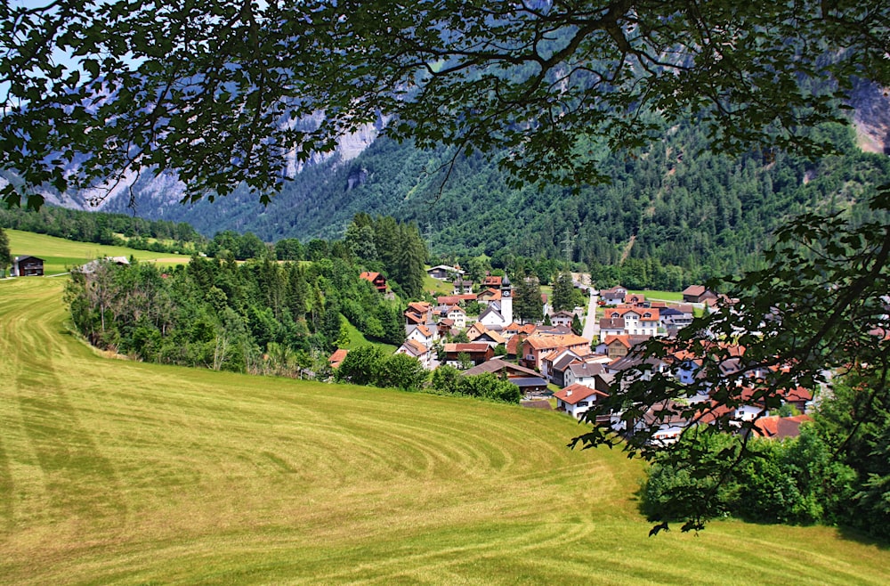 a lush green hillside with a village in the distance