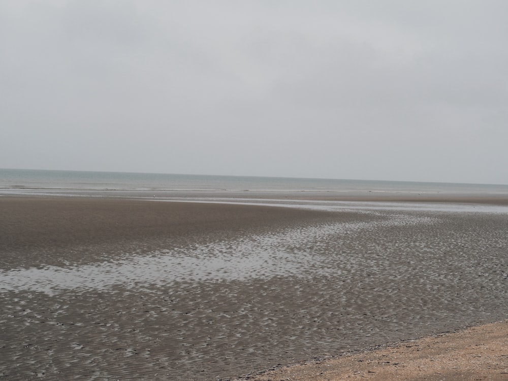 a person walking on a beach near the ocean