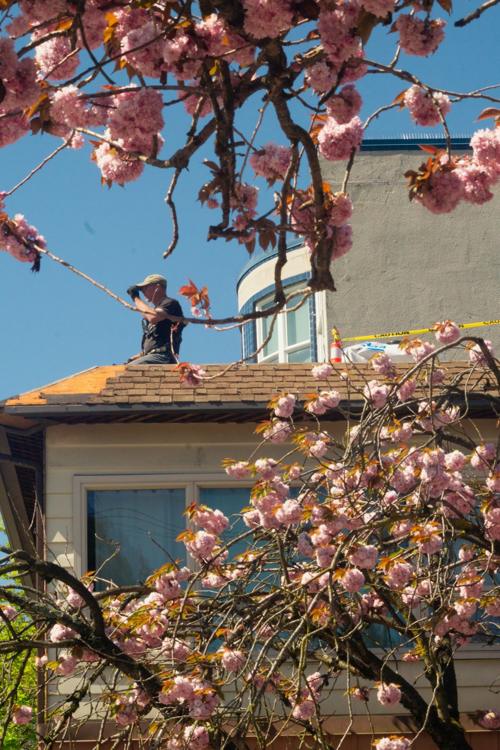 a person standing on a roof with pink flowers