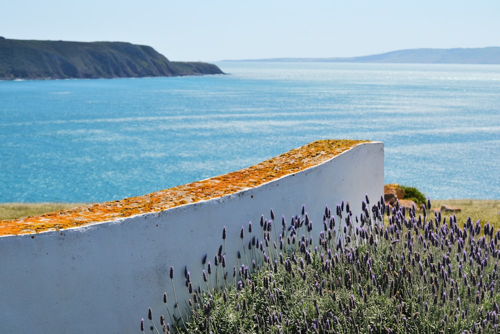 una pared blanca con un ramo de flores moradas