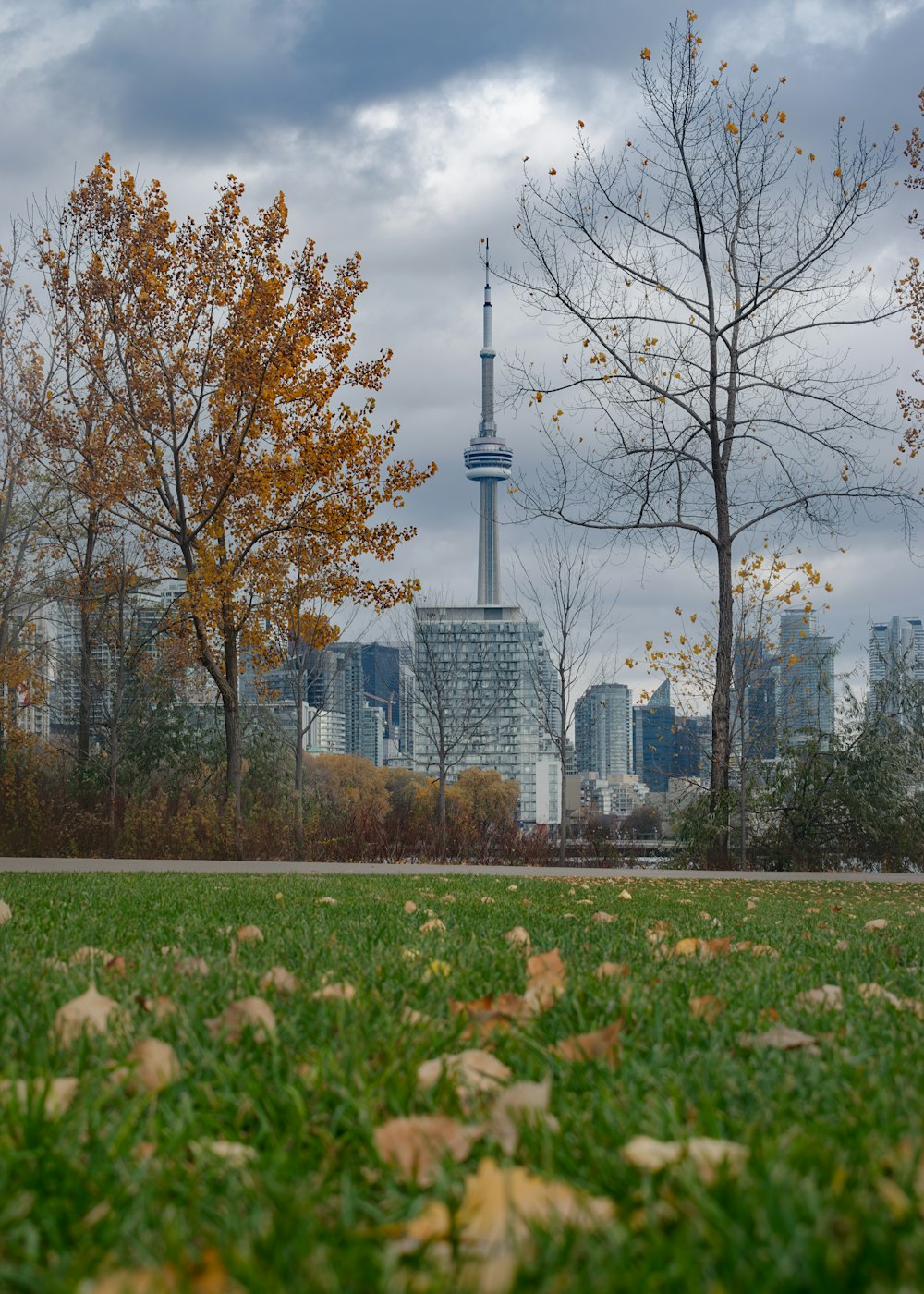 a view of a city skyline from a park