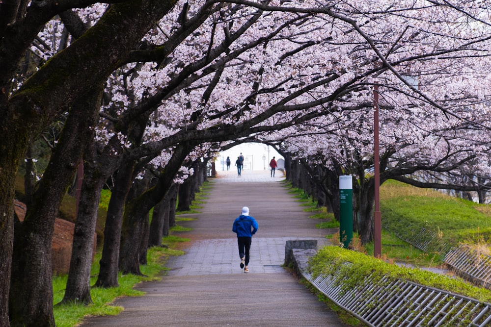 a person is running down a path lined with trees