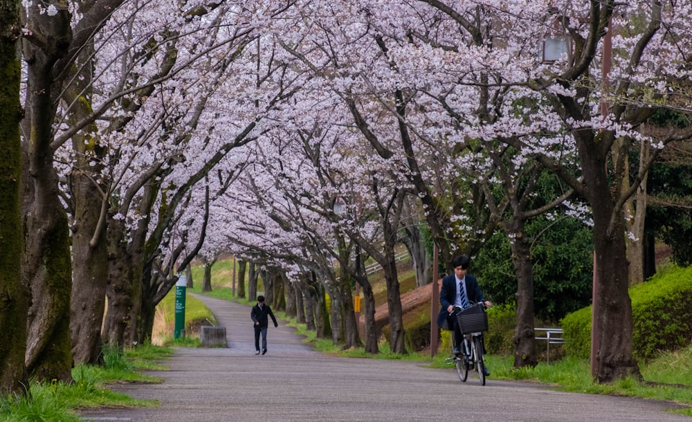 a man riding a bike down a tree lined street