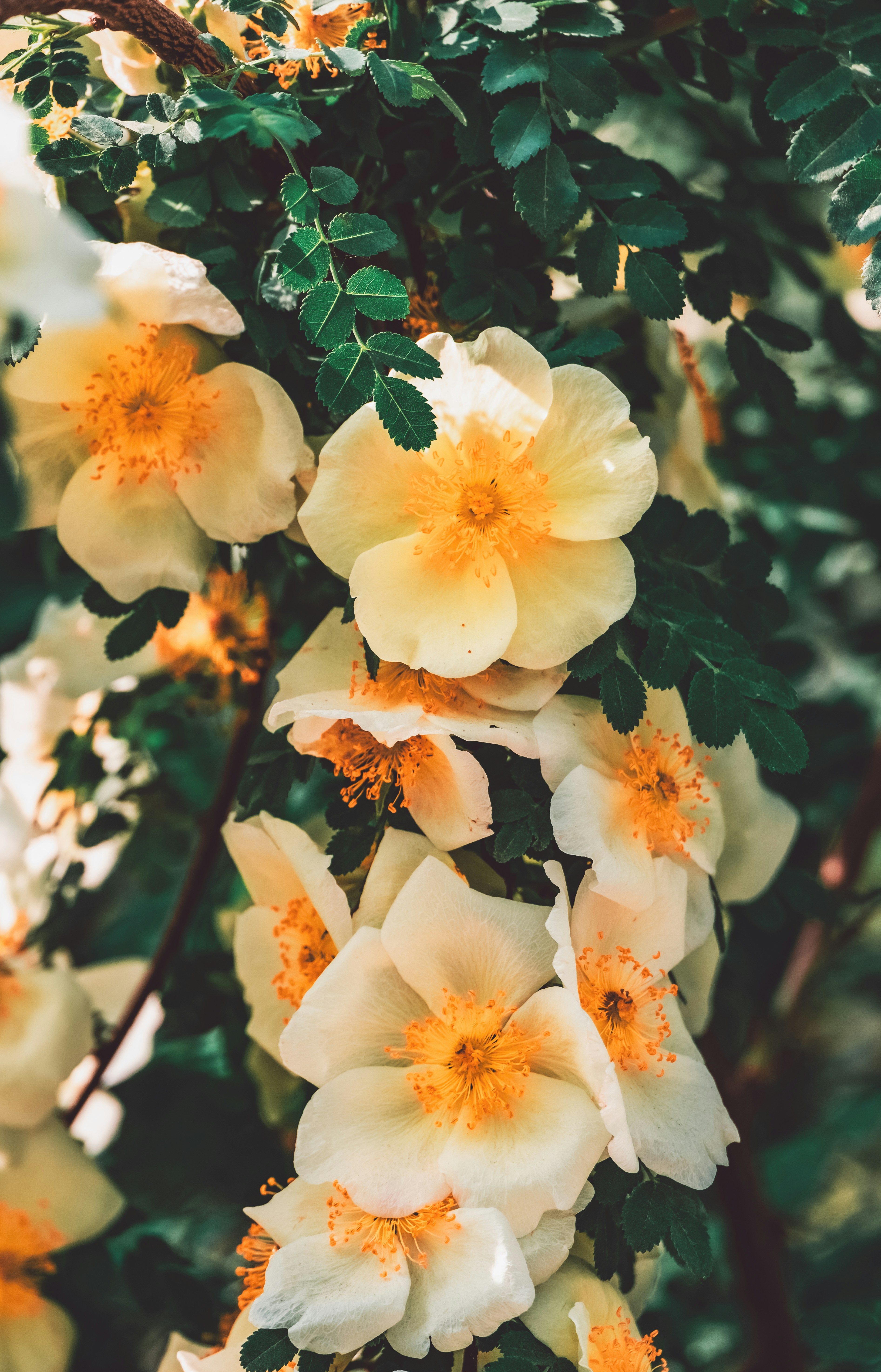 Photo by hattrick1996