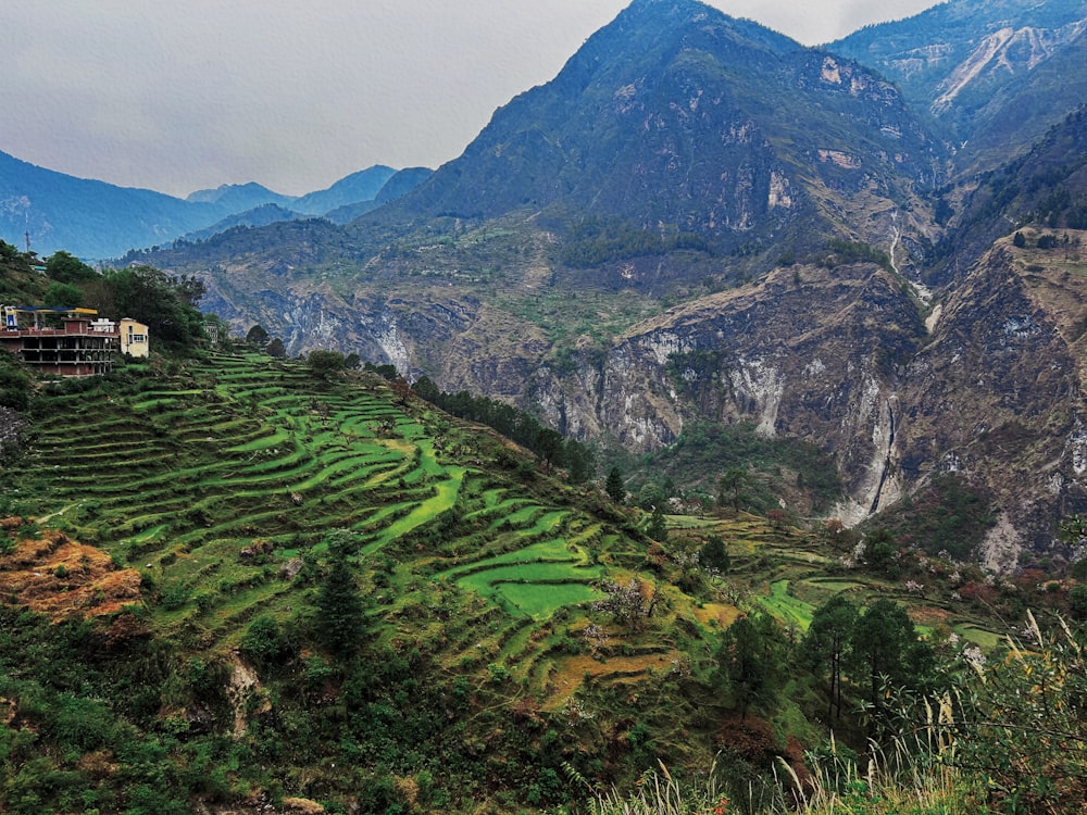 a scenic view of a mountain range with rice terraces