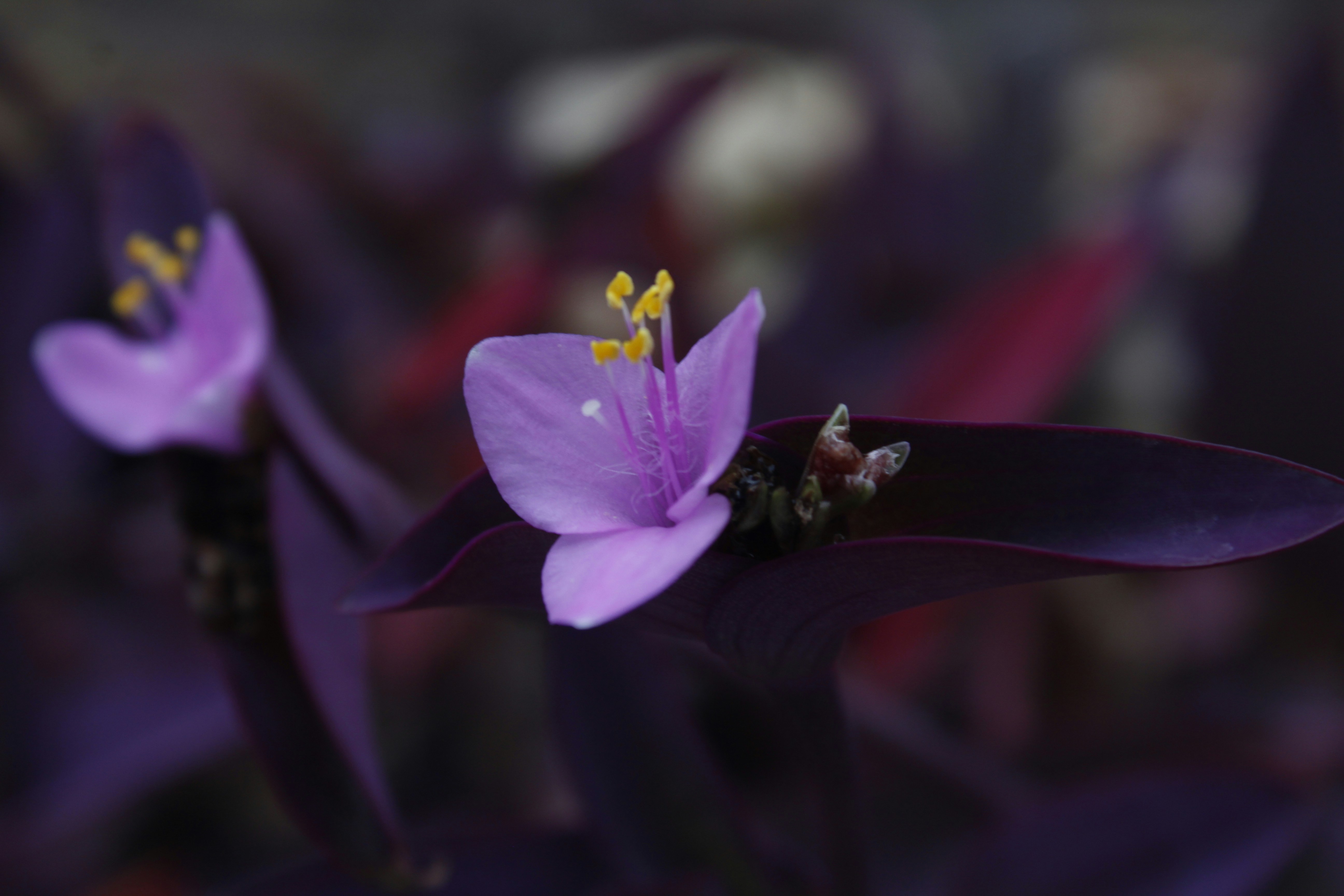 Photo by eric_silva821