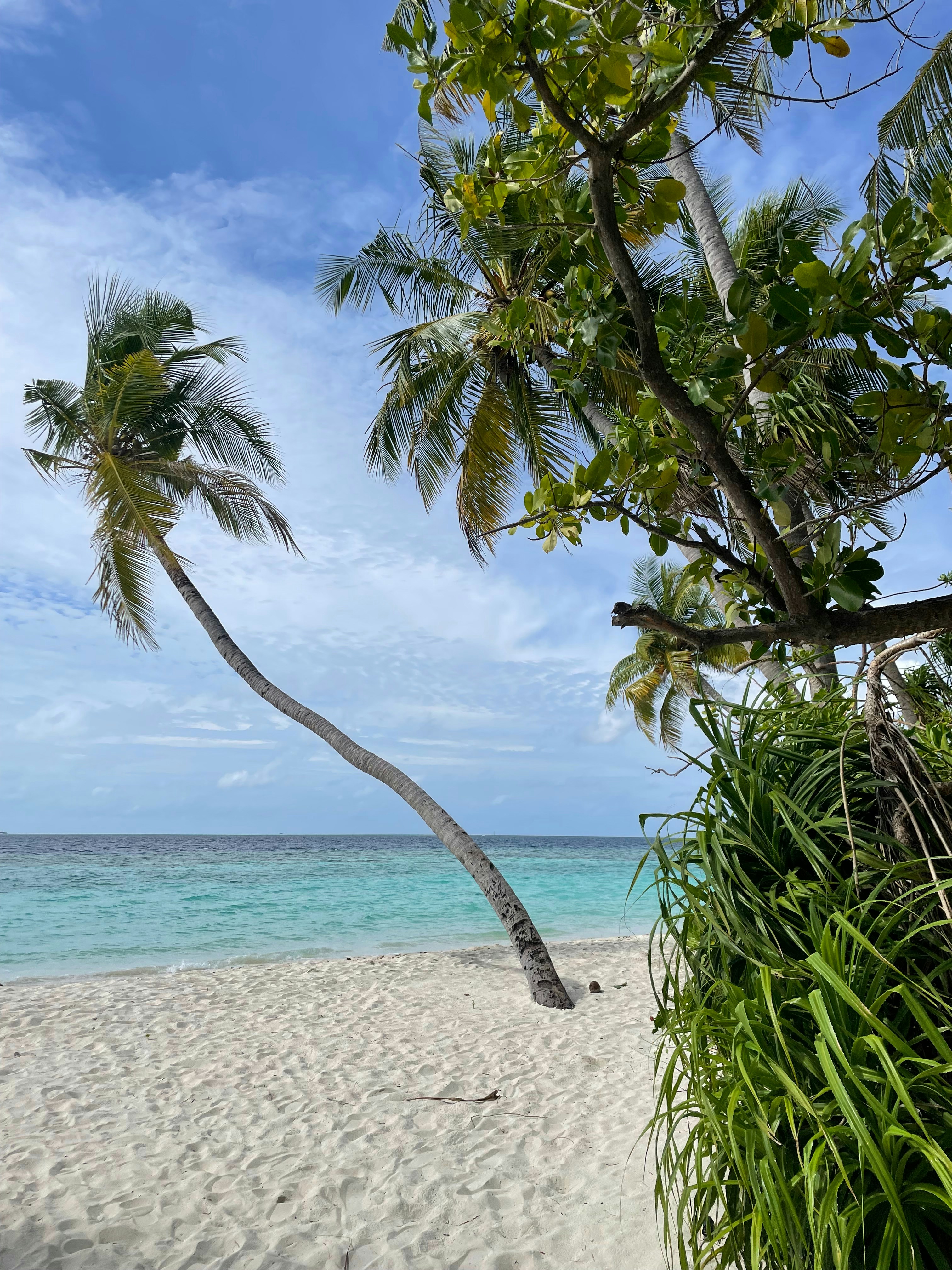 Photo by skyviewexposure