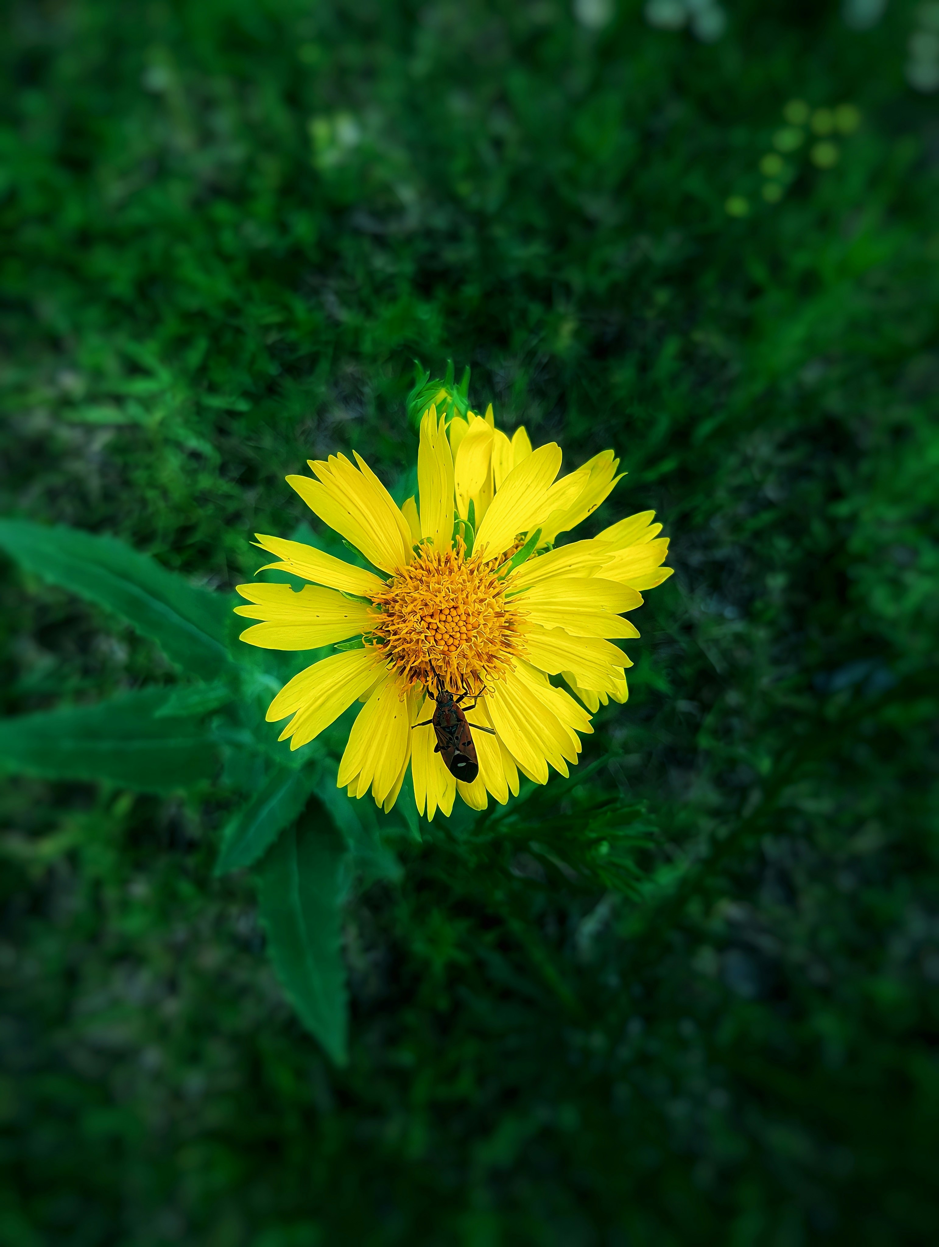 Photo by vikas2288