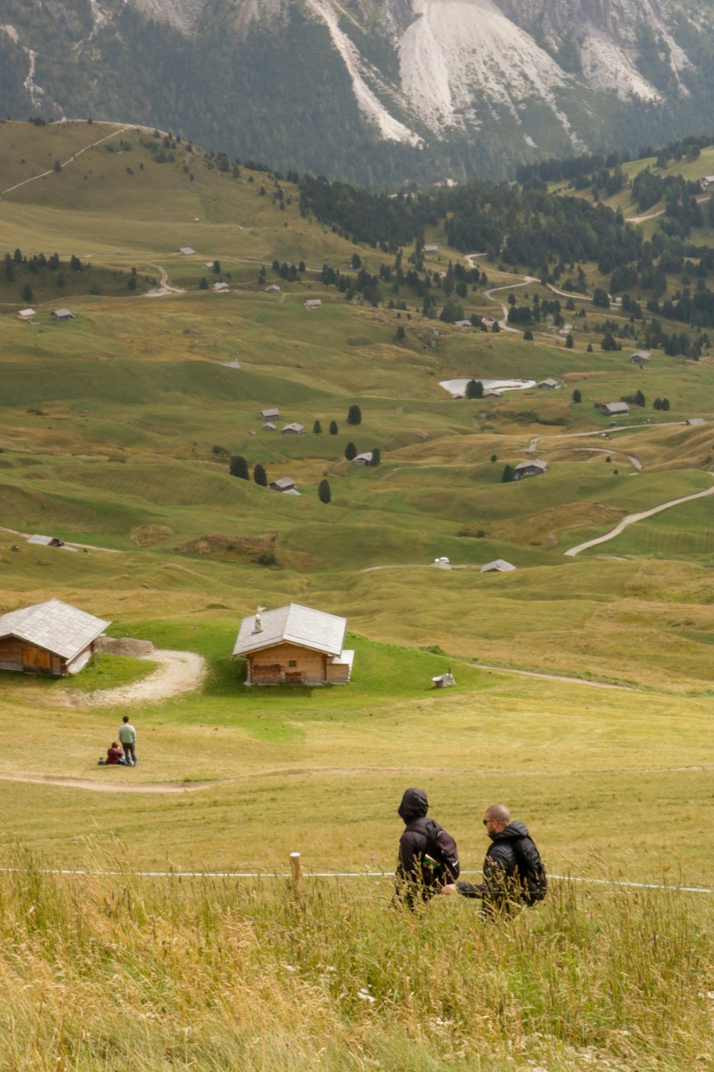 a couple of people sitting on top of a lush green field