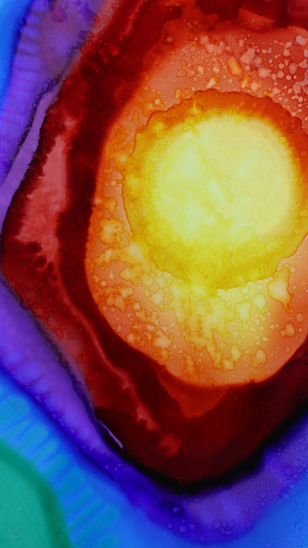 a close up of the inside of an egg