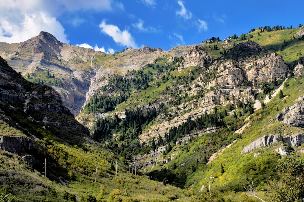 a scenic view of a valley with mountains in the background