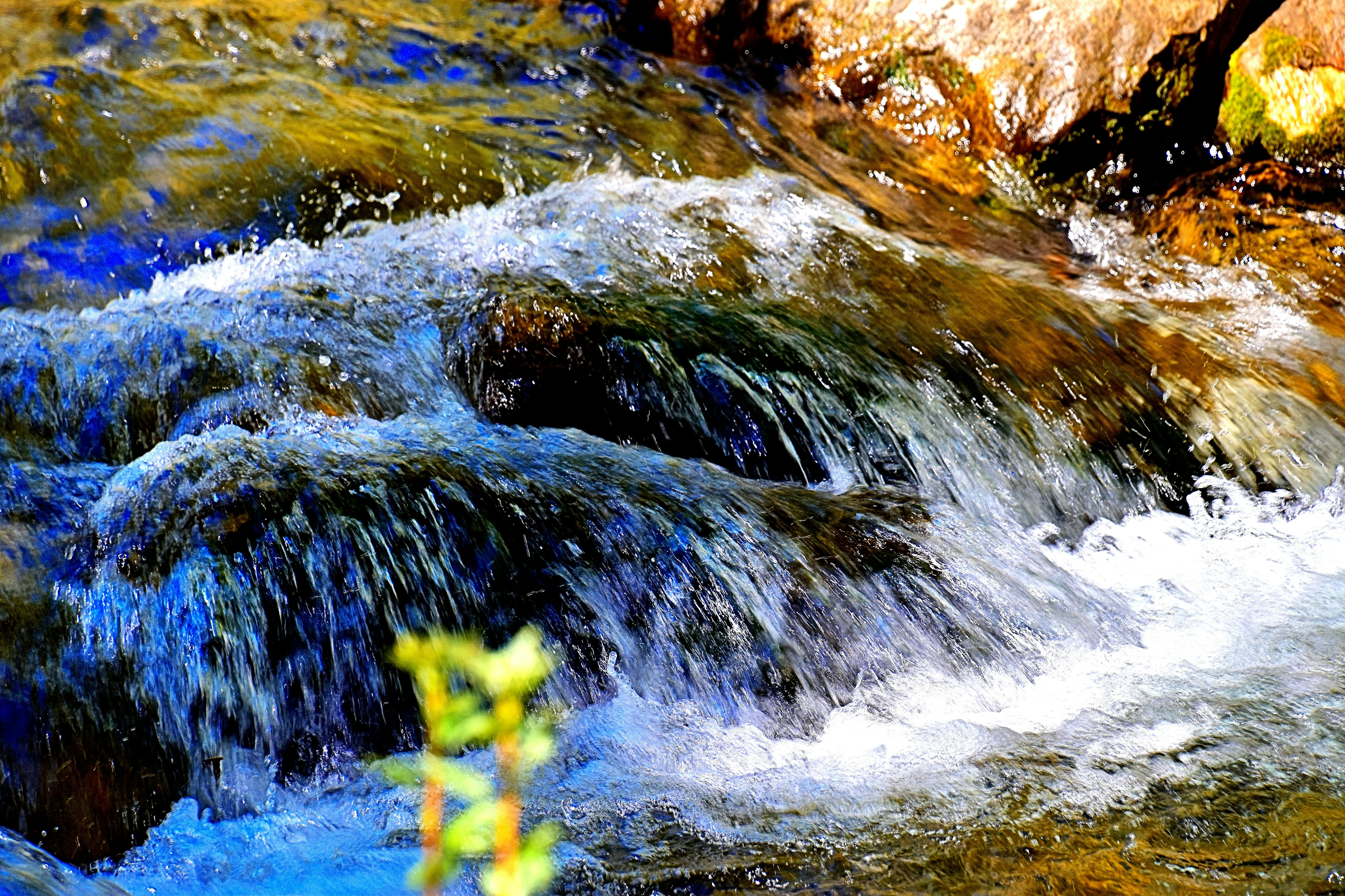 Photo by jeisen