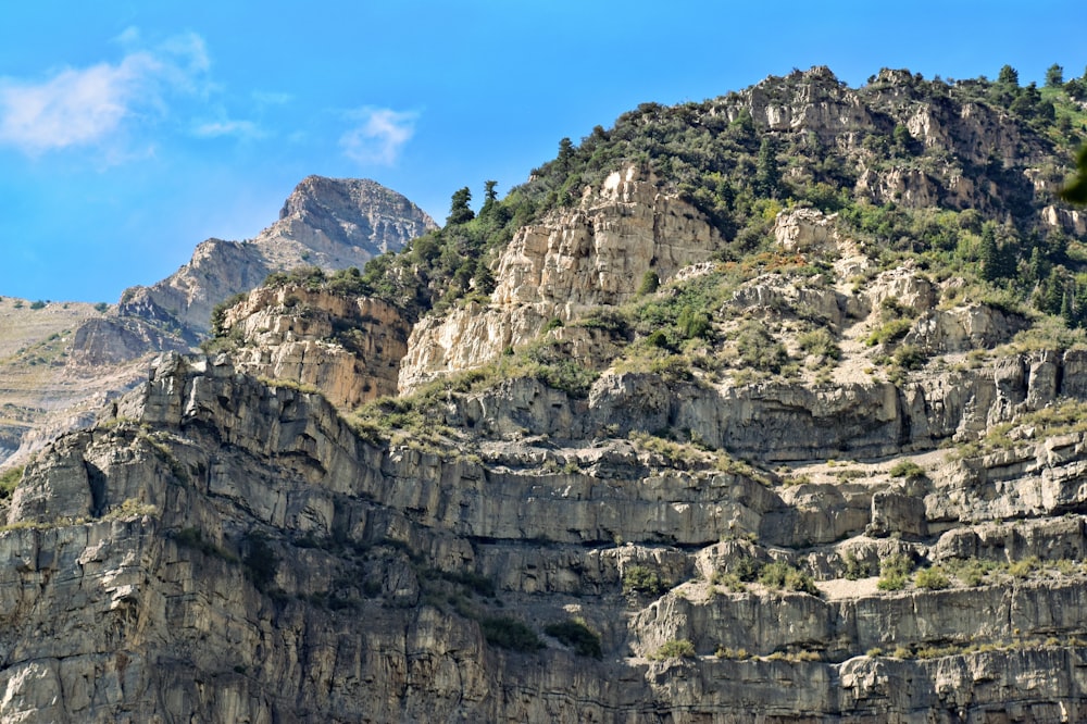 a rocky mountain with trees on top of it