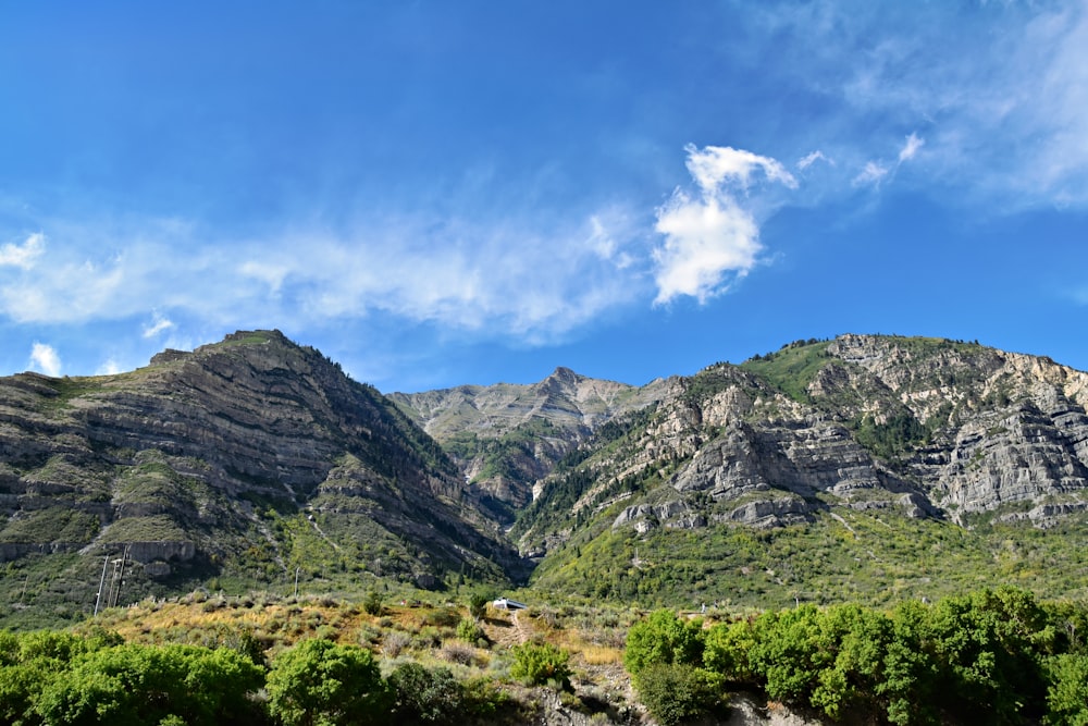 a scenic view of a mountain range with trees and bushes