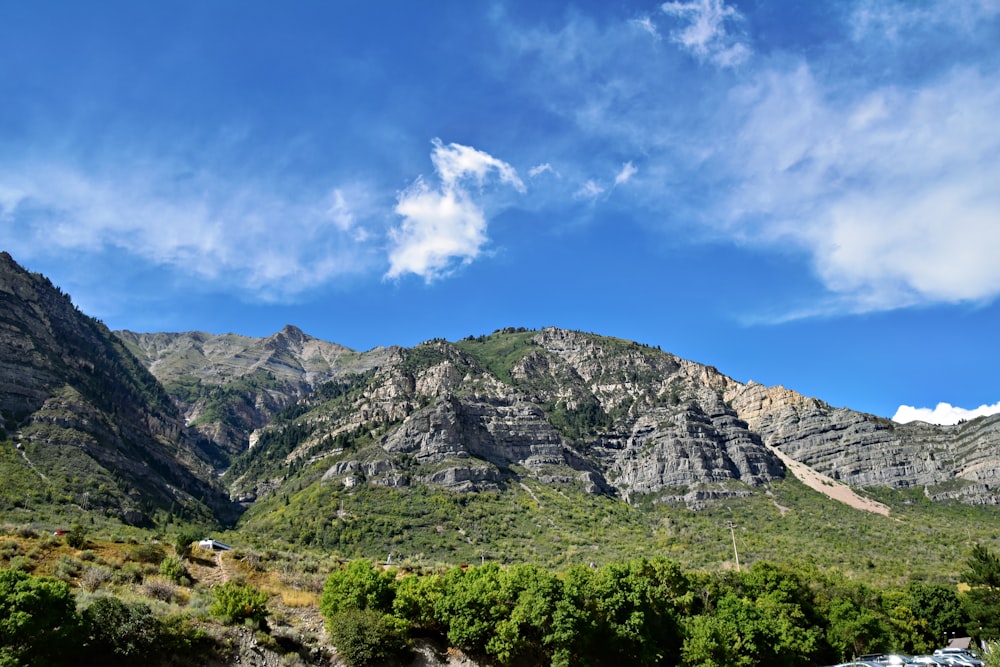 a scenic view of a mountain range with trees and bushes