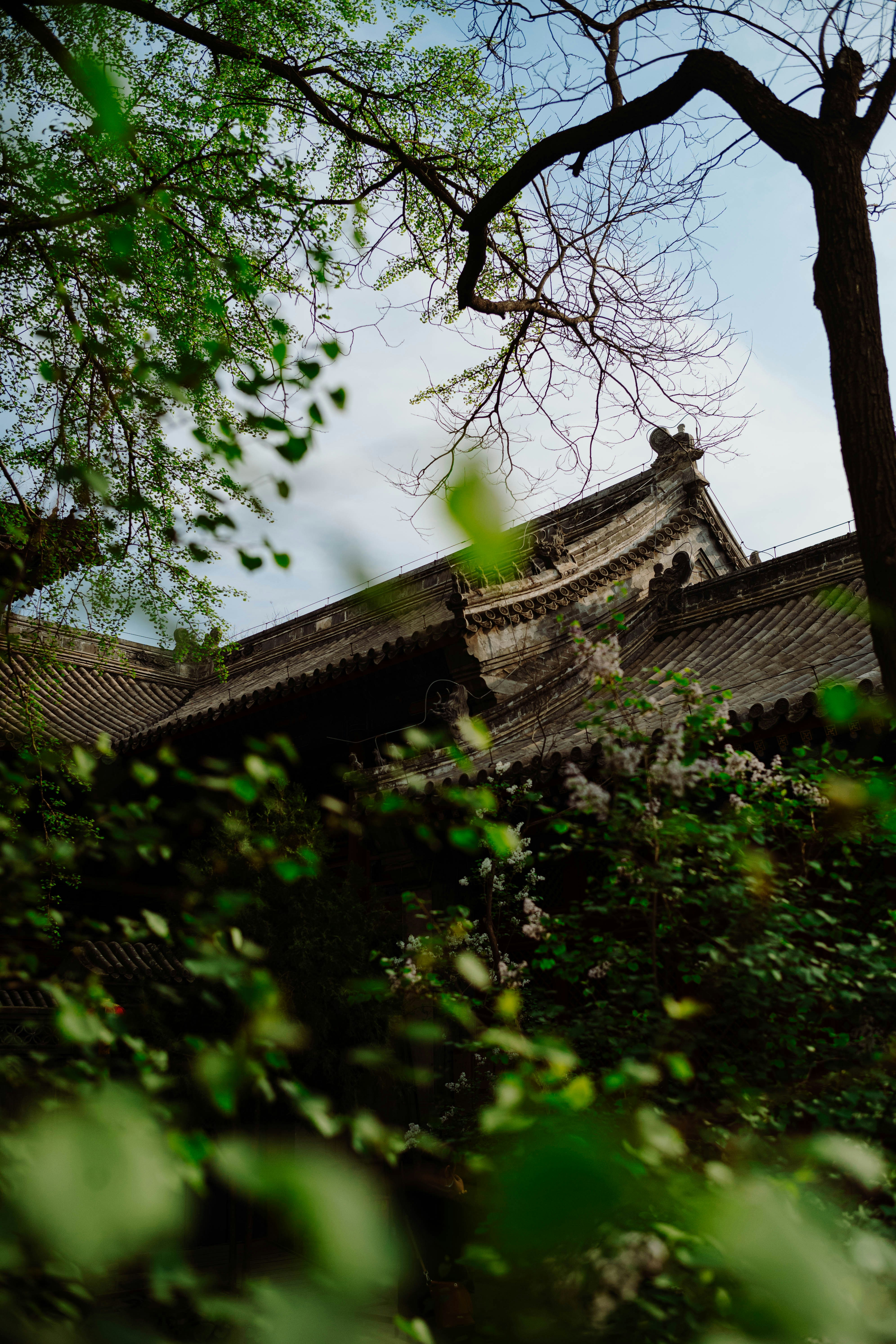 Photo by tommaomaoer