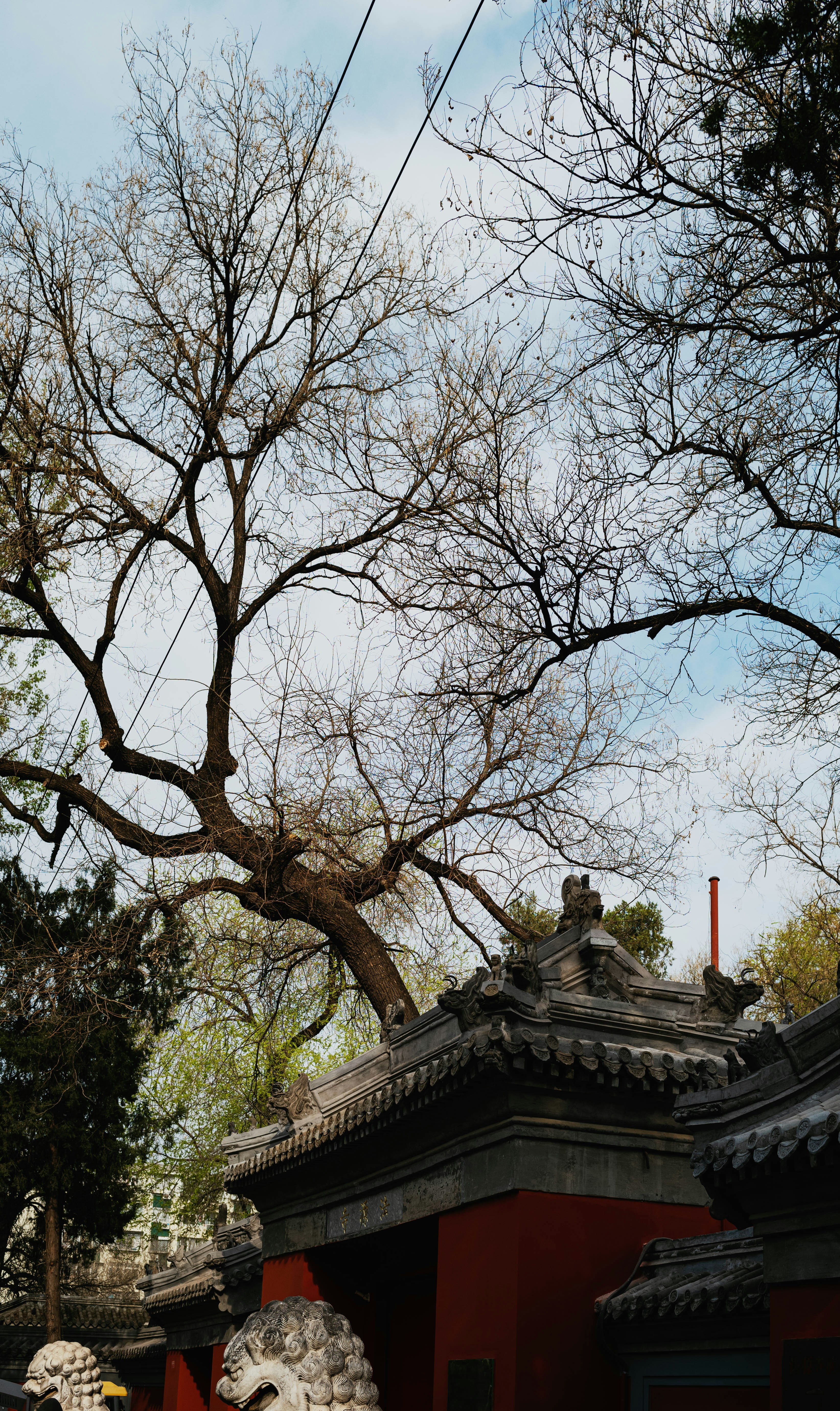 Photo by tommaomaoer