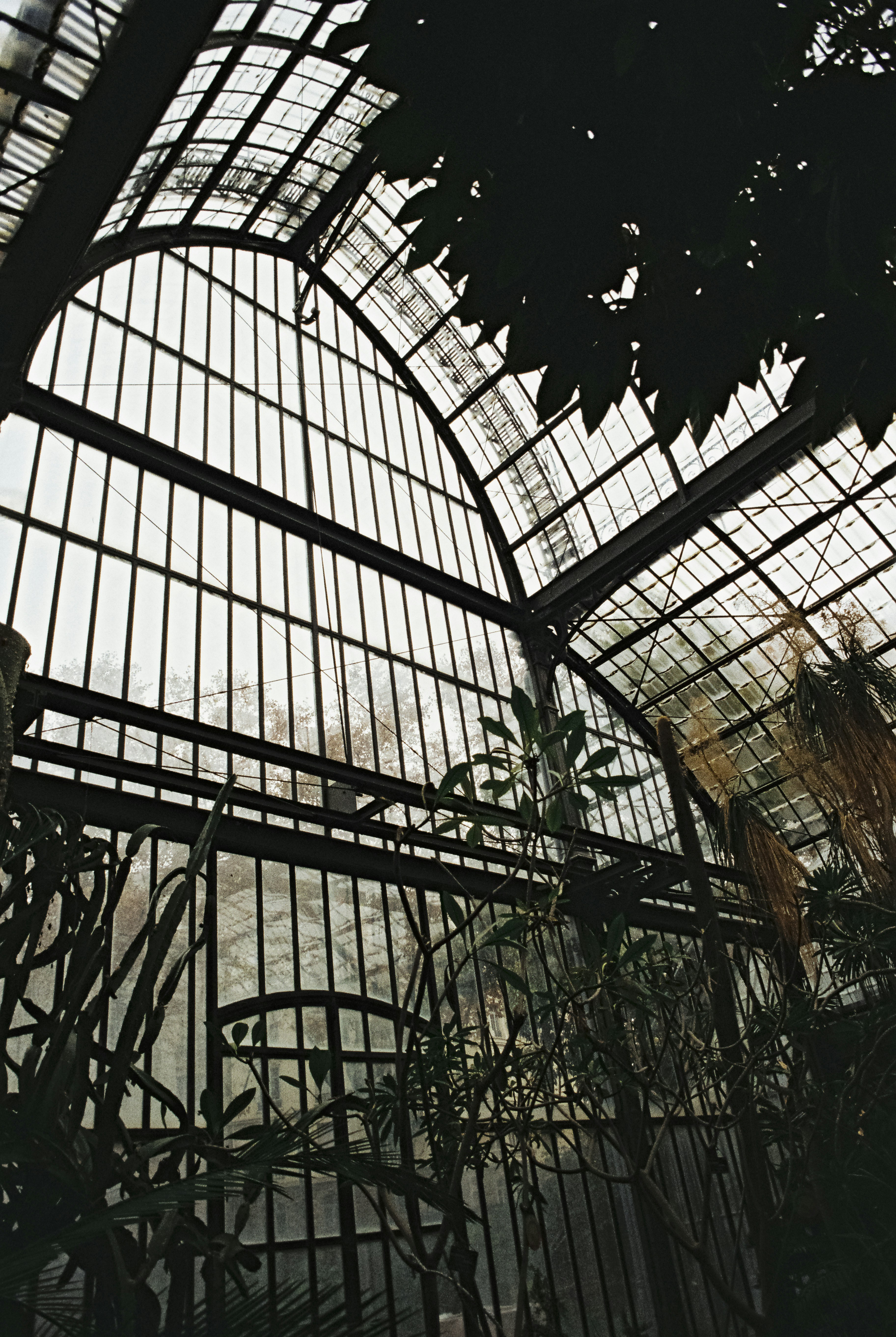 a view of the inside of a building through a window
