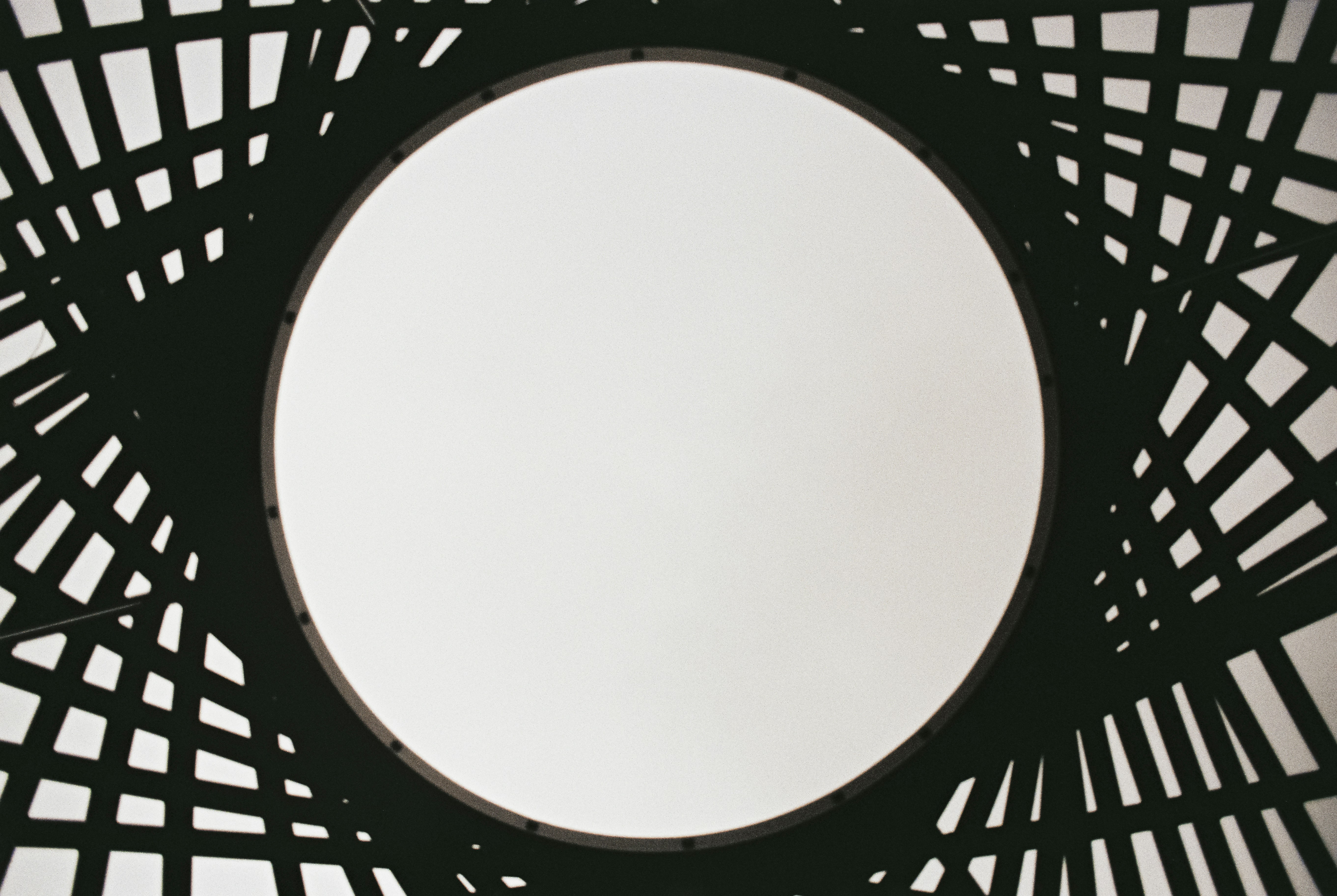 Photo by without_psd