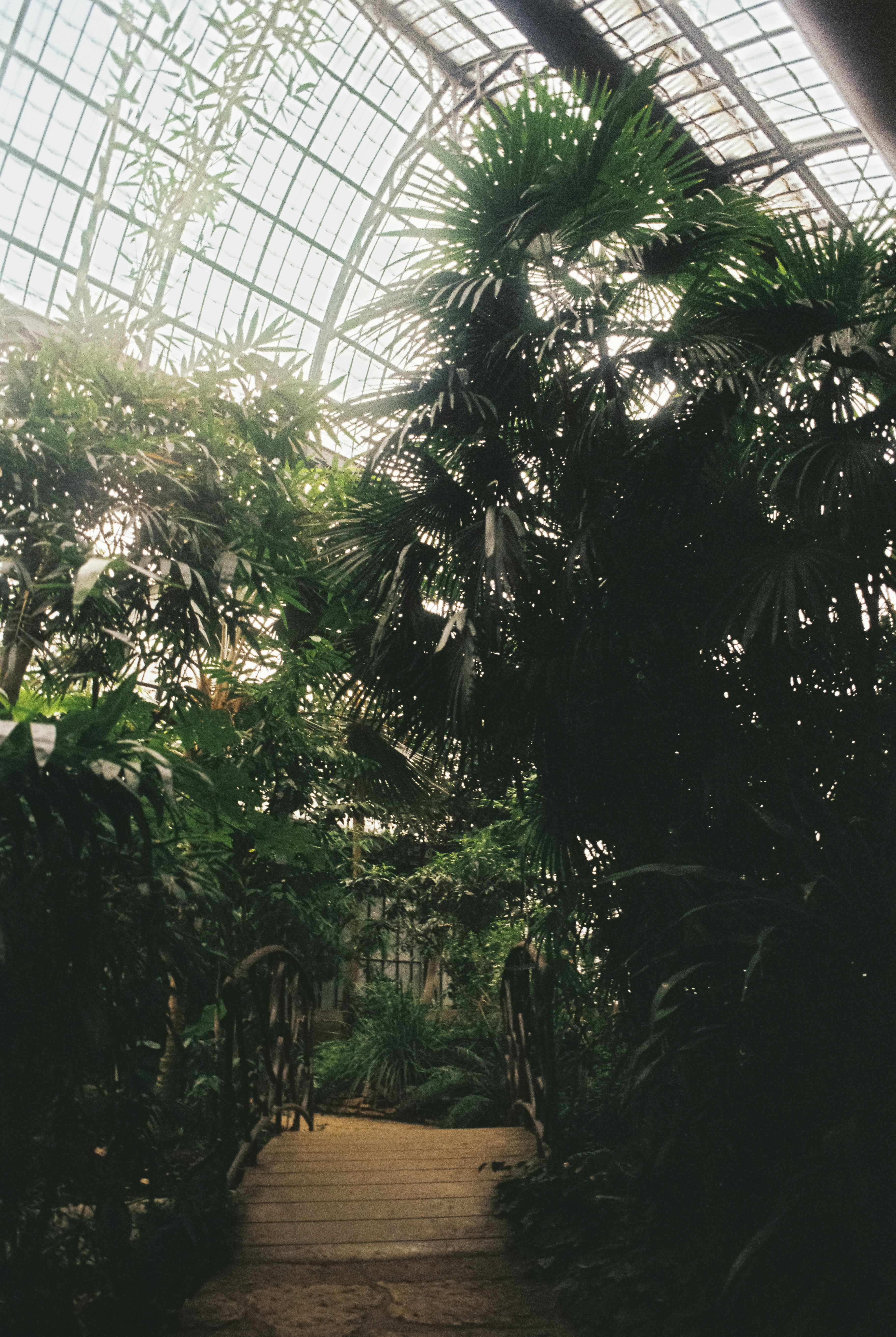 Photo by without_psd