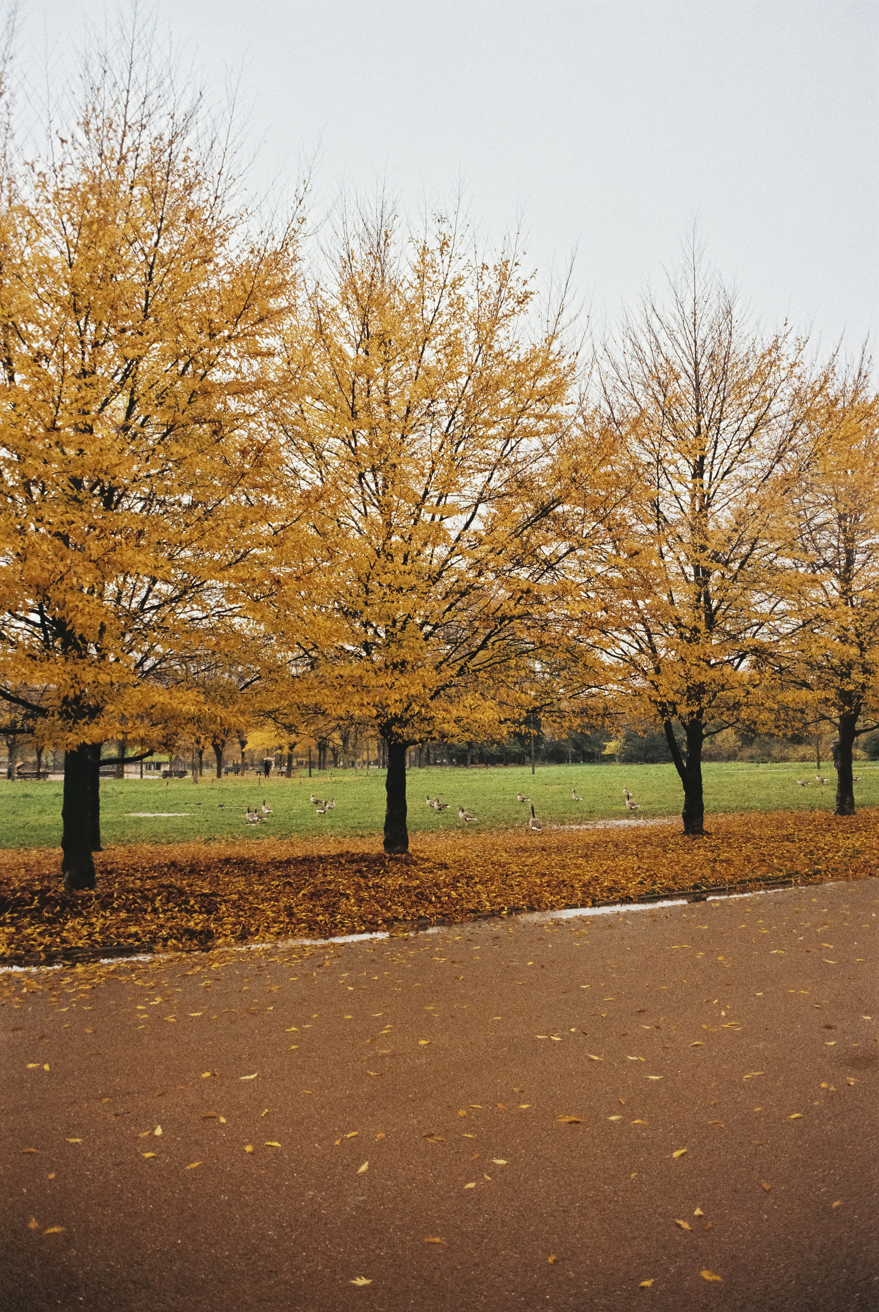 Photo by without_psd