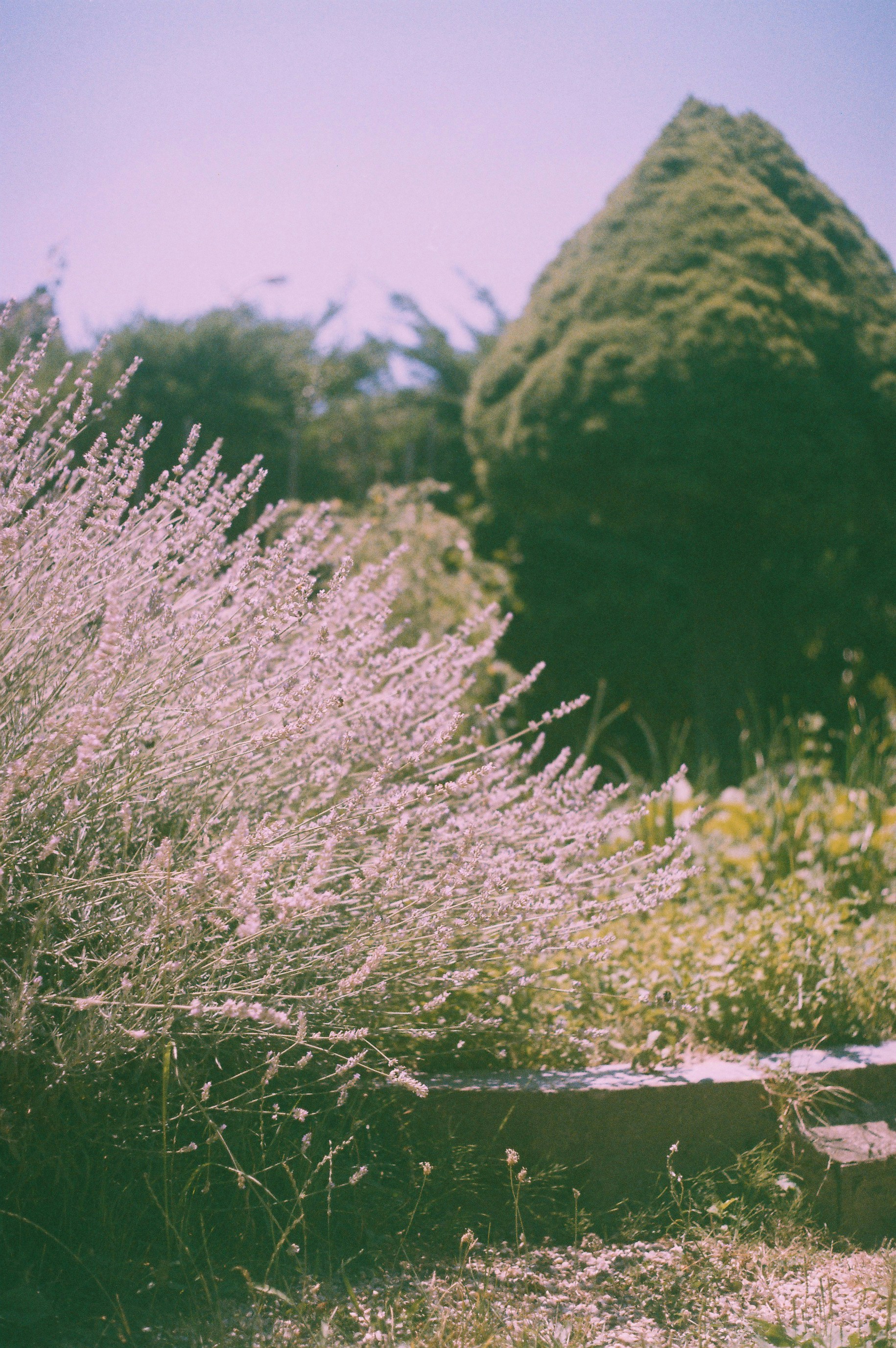 Photo by encoreunemaryam