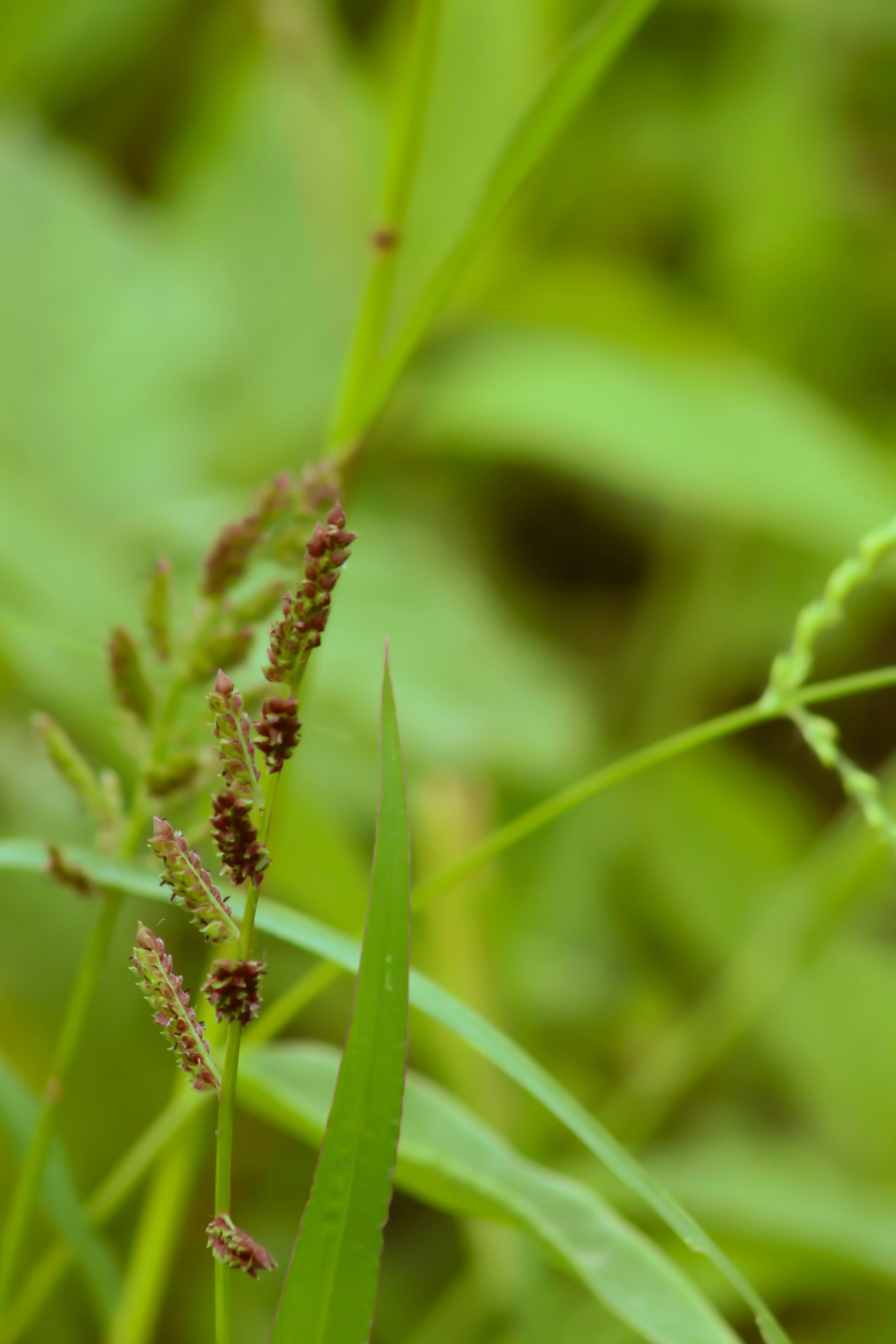 Photo by pushpak_art