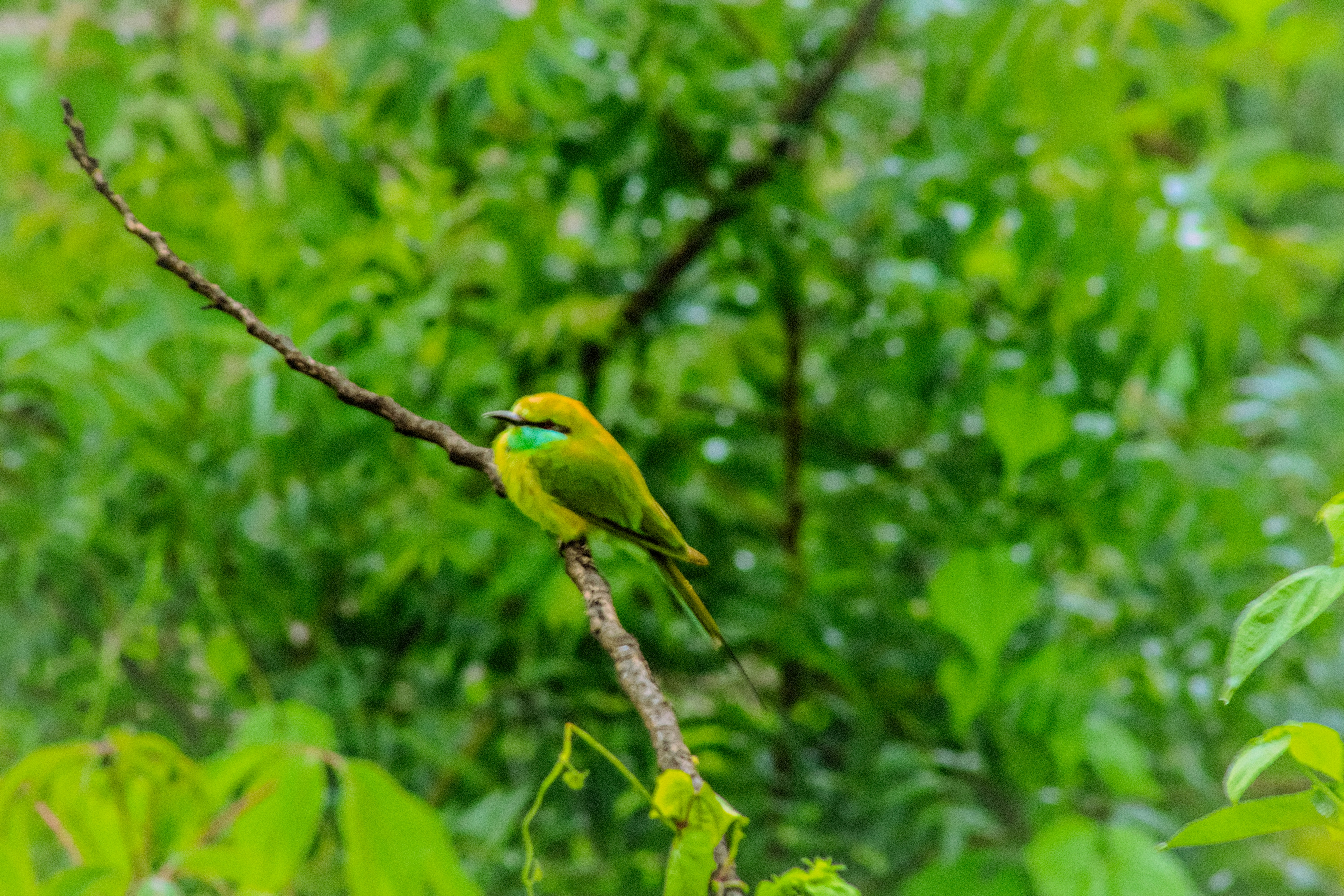 Photo by pushpak_art