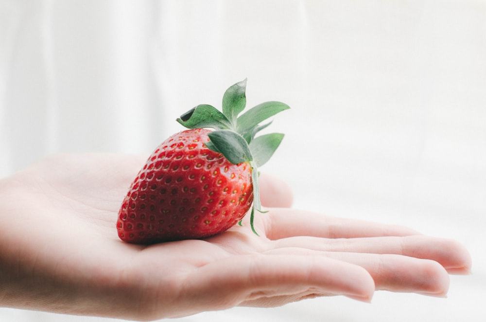 a person holding a strawberry in their hand