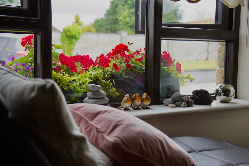 a couple of birds sitting on top of a window sill