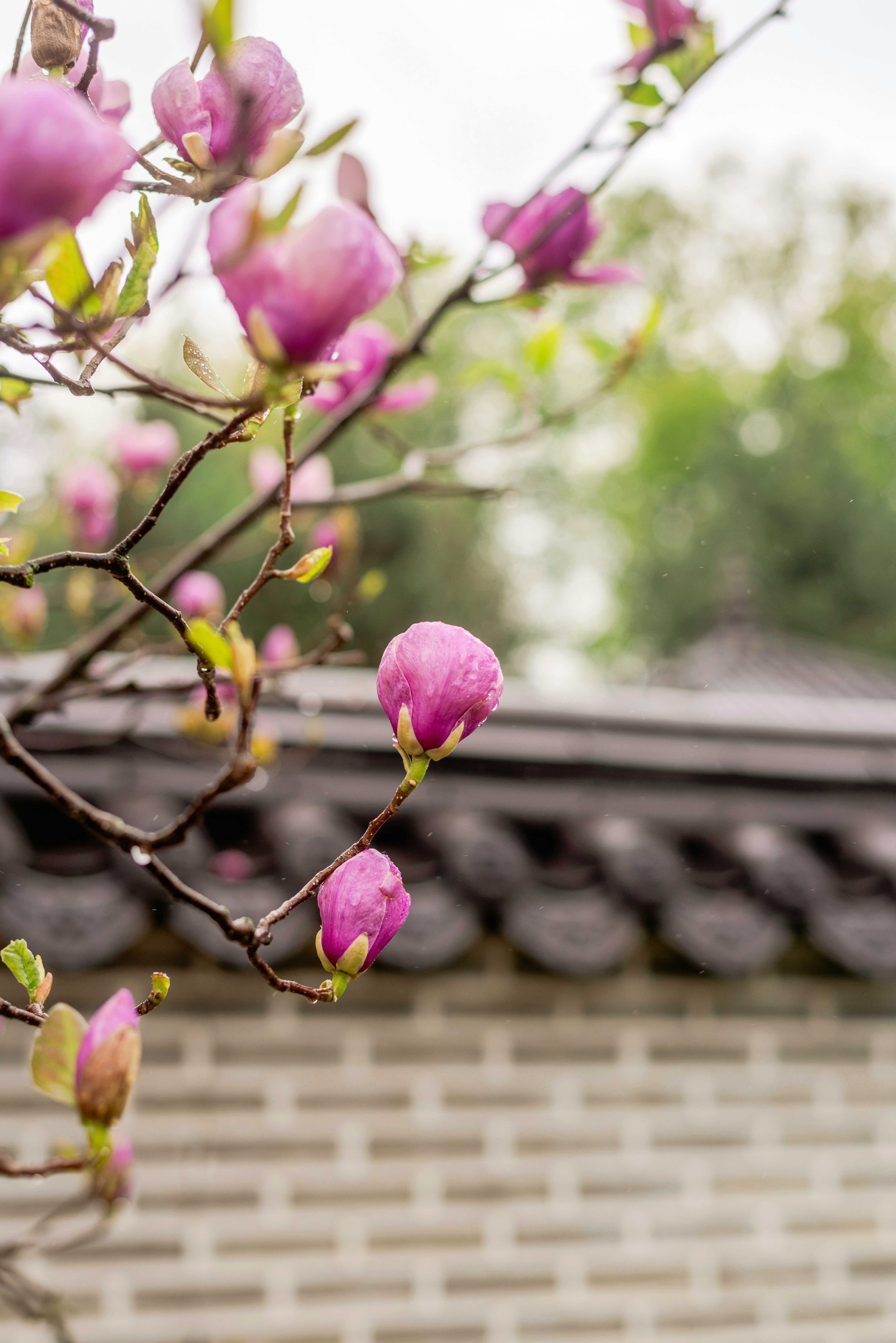 Photo by eugenivy_now