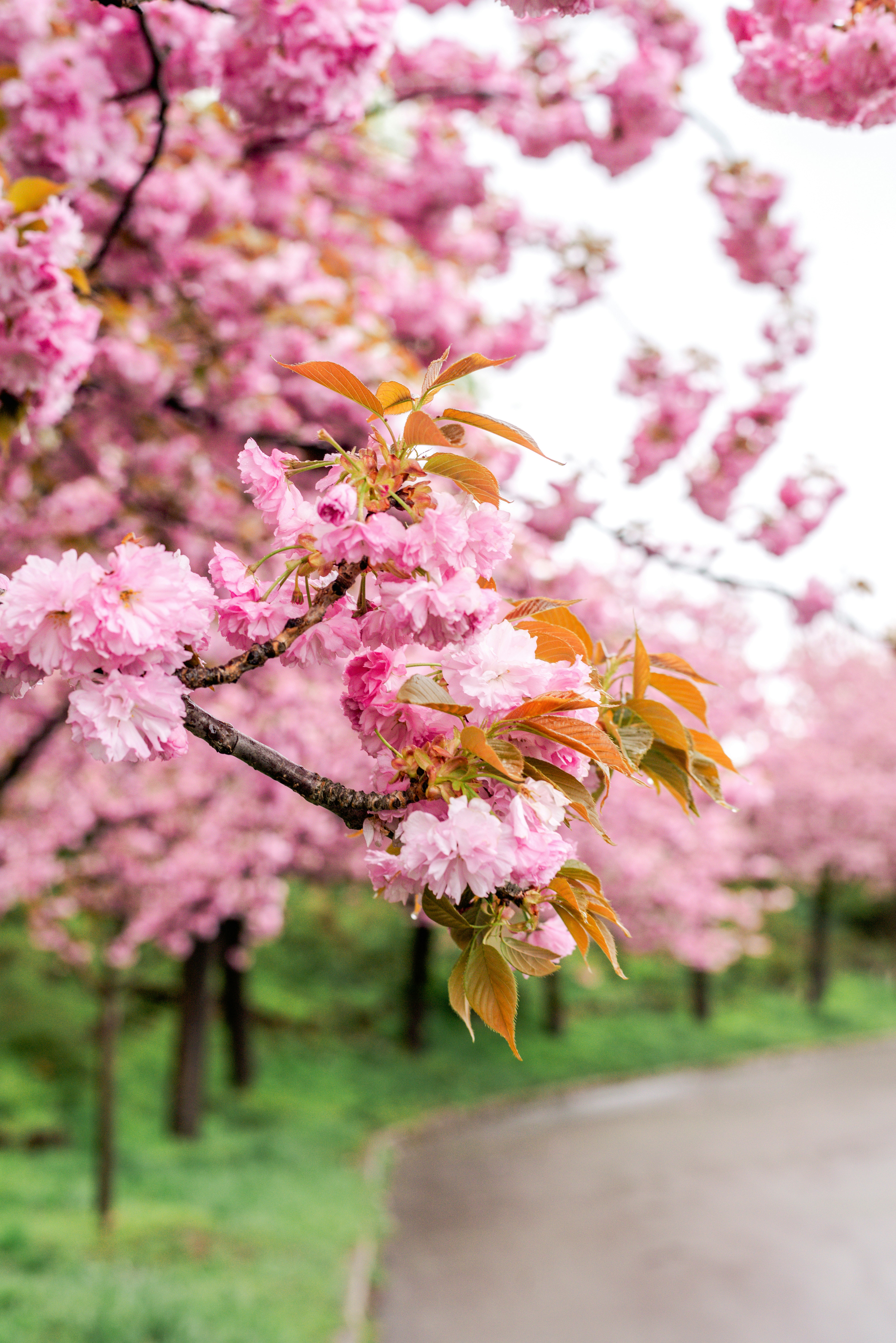 Photo by eugenivy_now