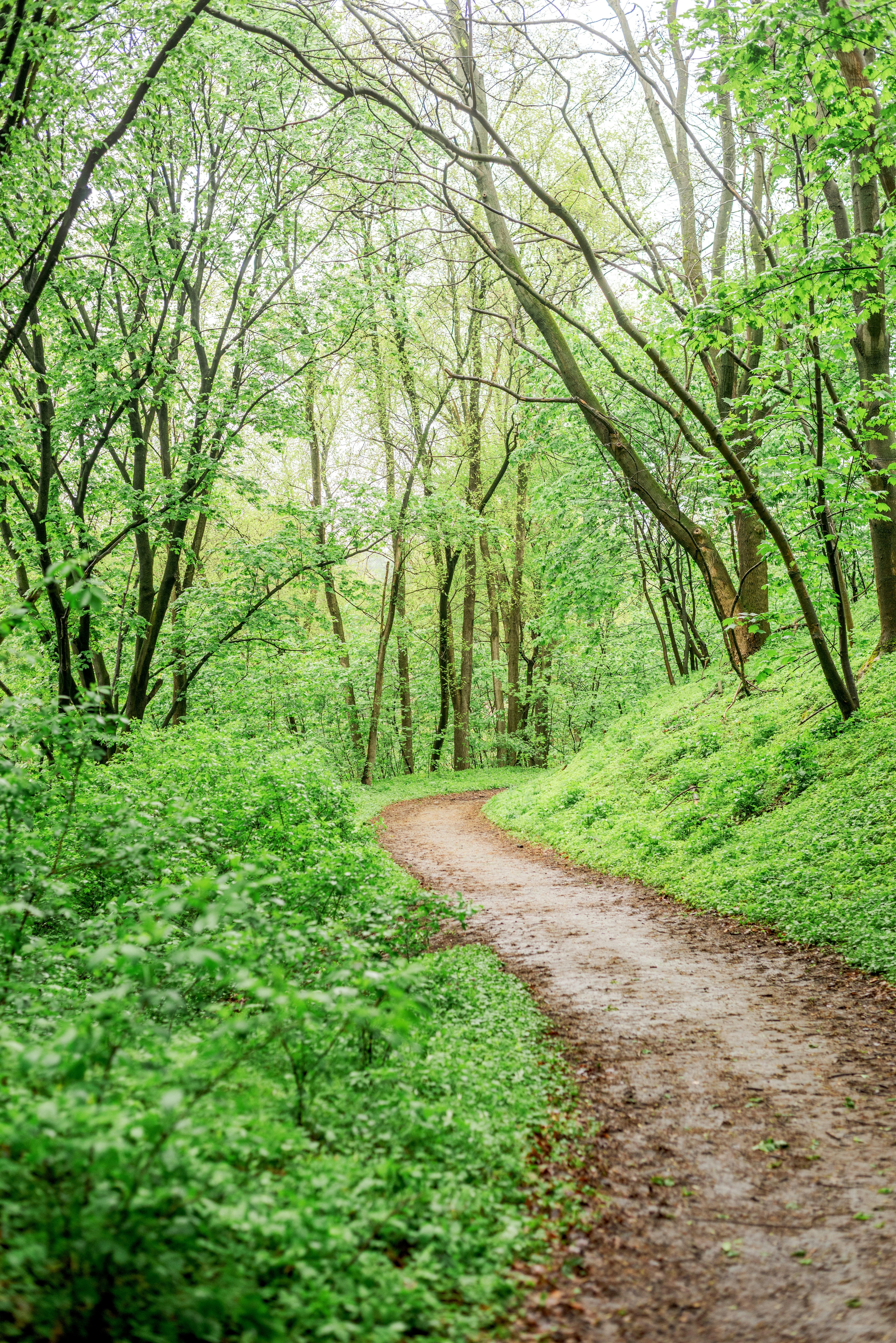 Photo by eugenivy_now