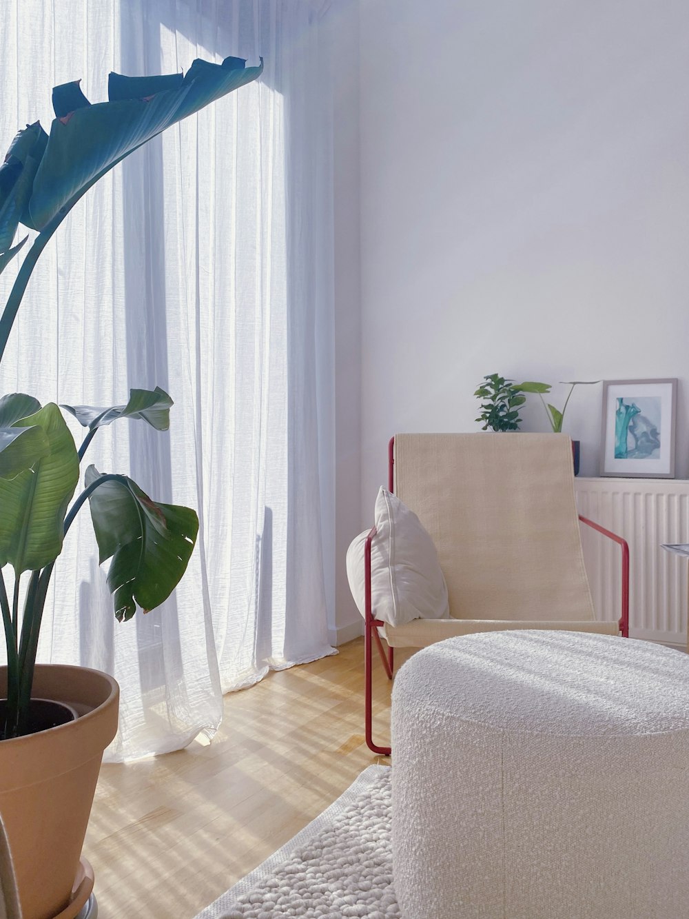 a living room with a plant in a pot