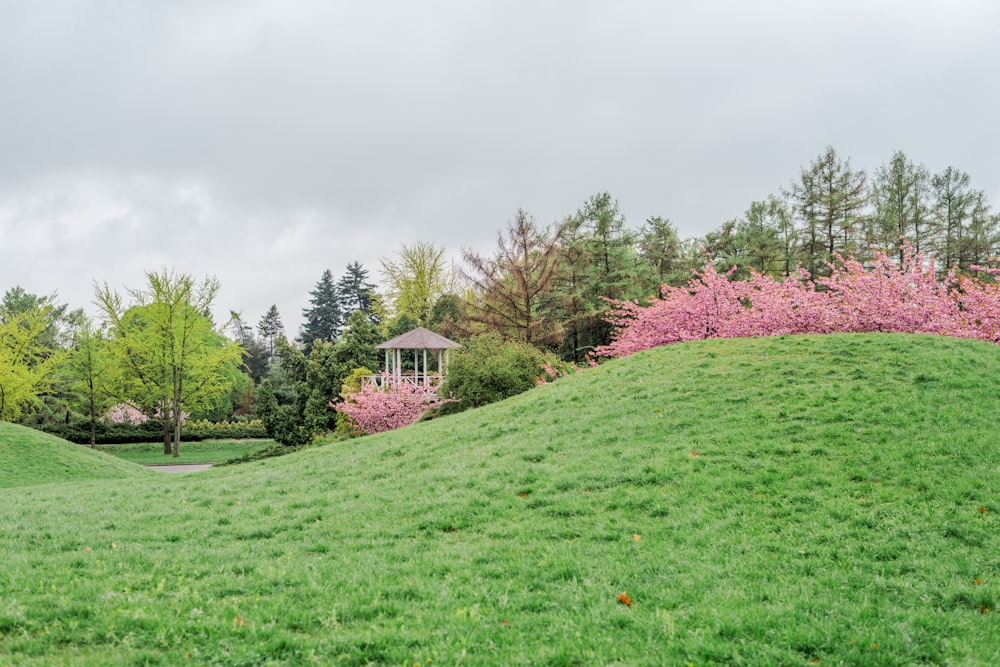 a grassy hill with a gazebo in the distance