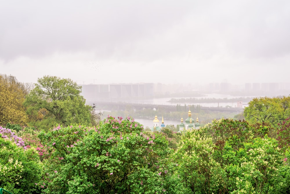 a view of a city from a hill in the distance