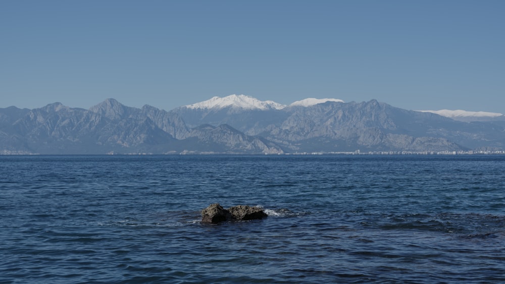 a large body of water with mountains in the background