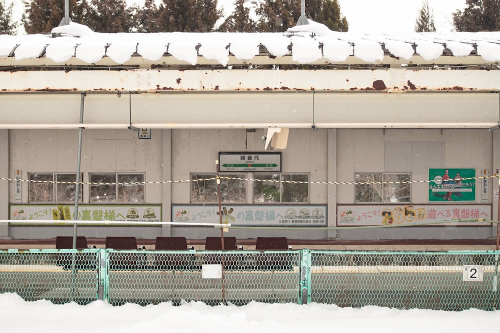 a building that has a bunch of birds on top of it