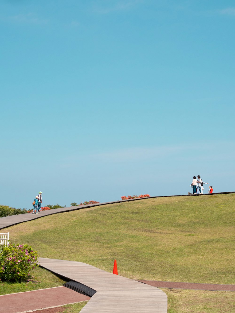 a group of people standing on top of a lush green hillside