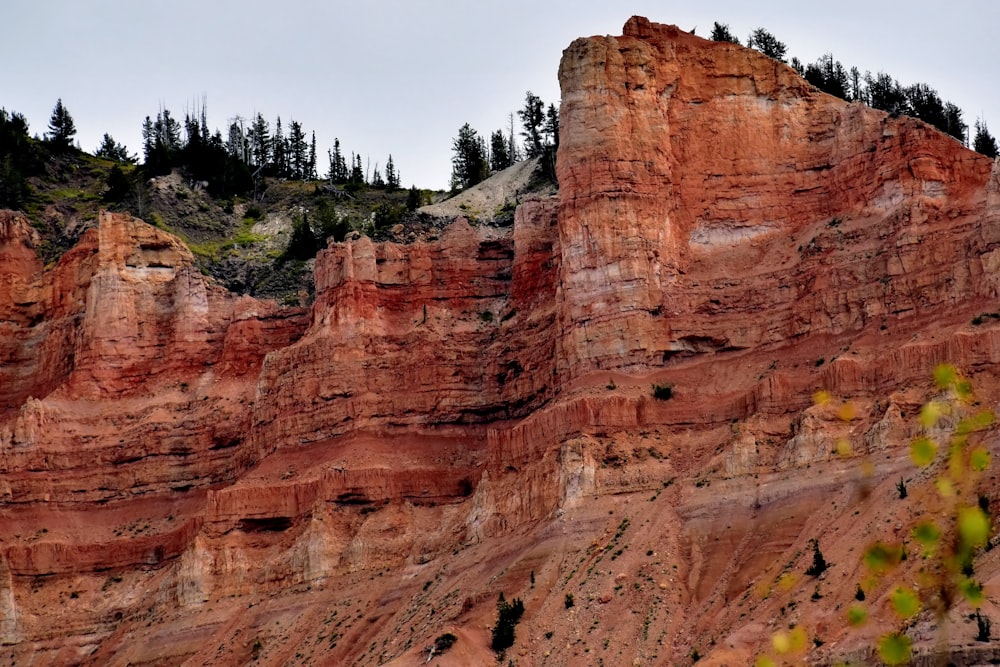 a very tall mountain with some trees on top of it