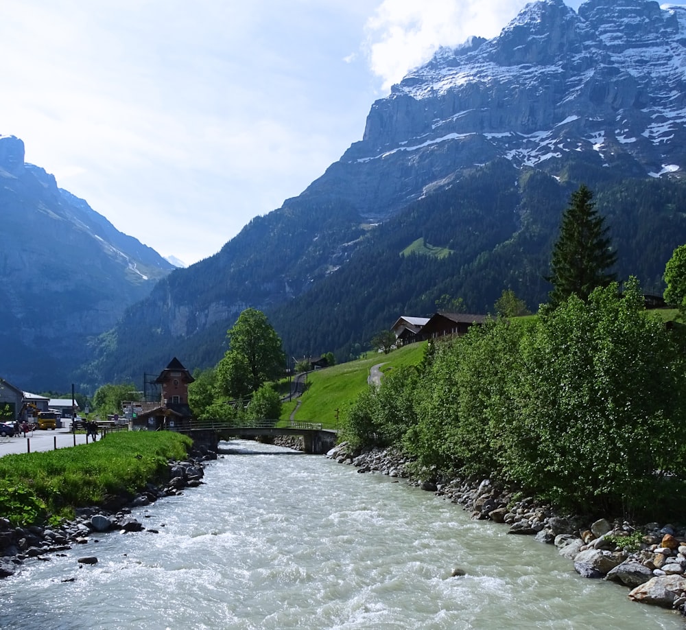 a river running through a lush green valley