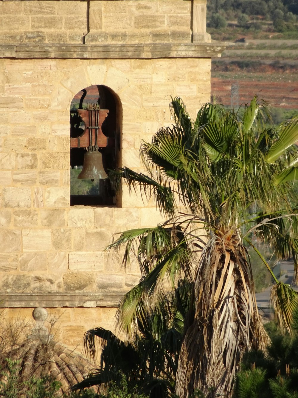 a bell tower with a palm tree in front of it