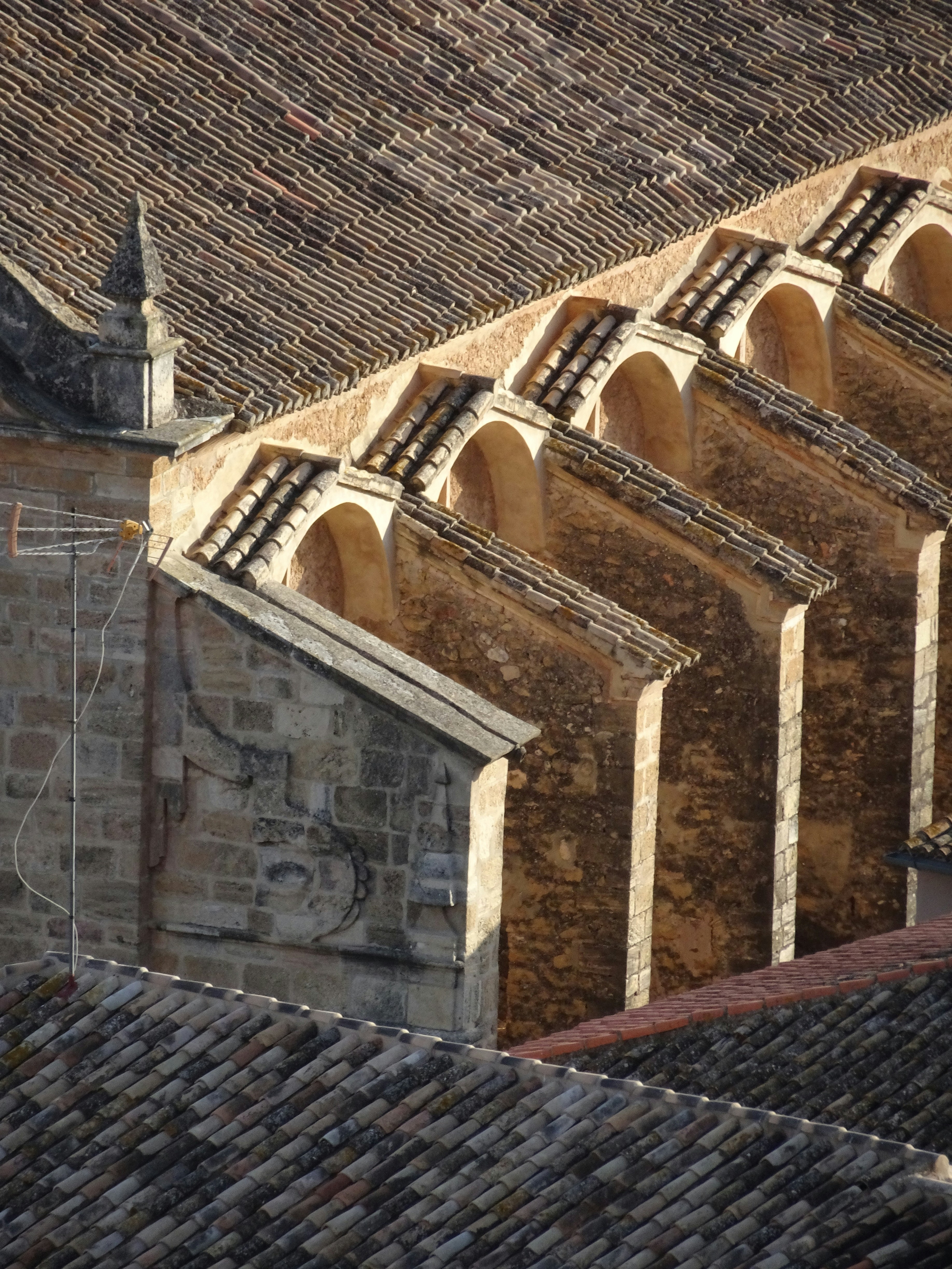 Photo by ludovico_06