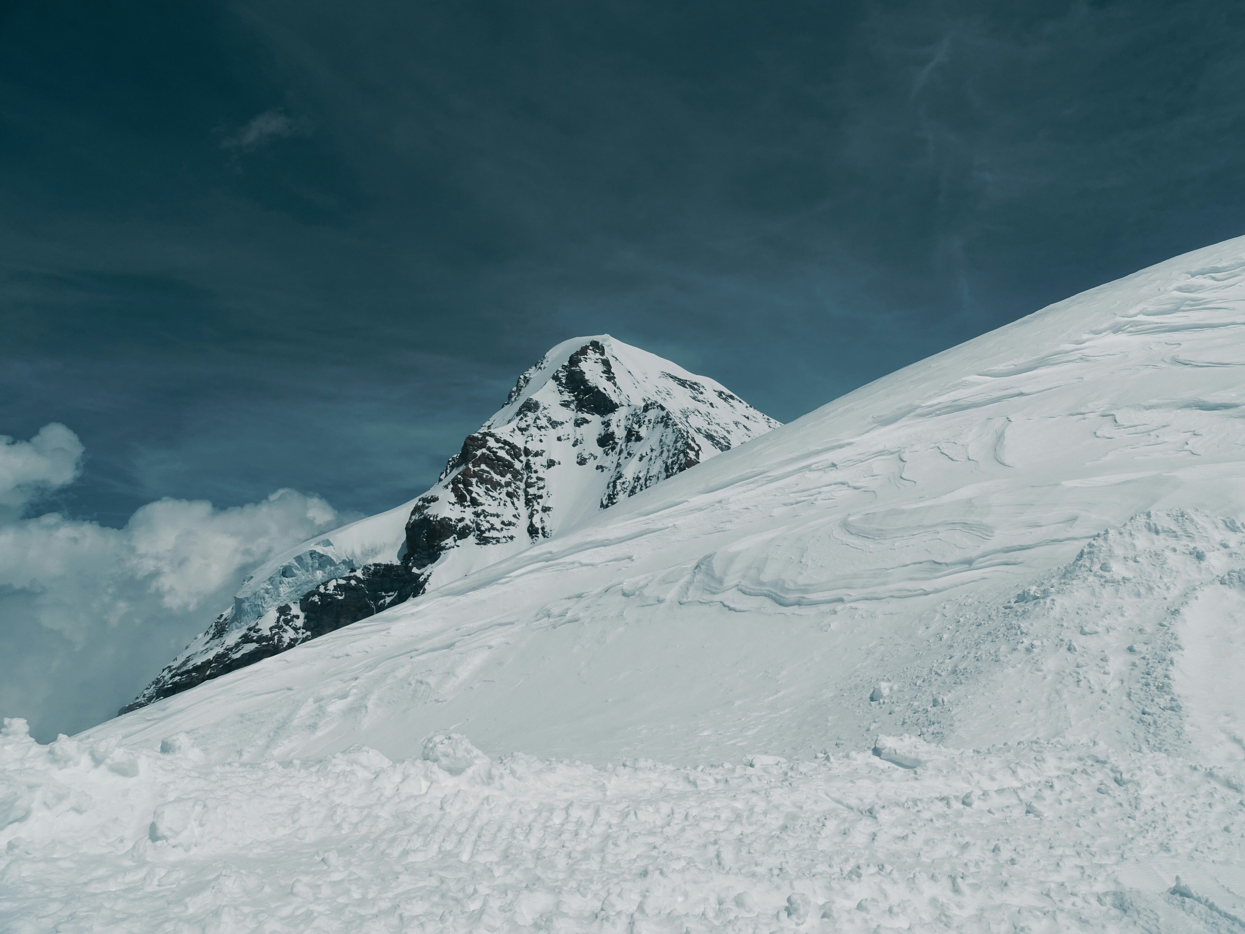 Photo by khushi_gandhi2605