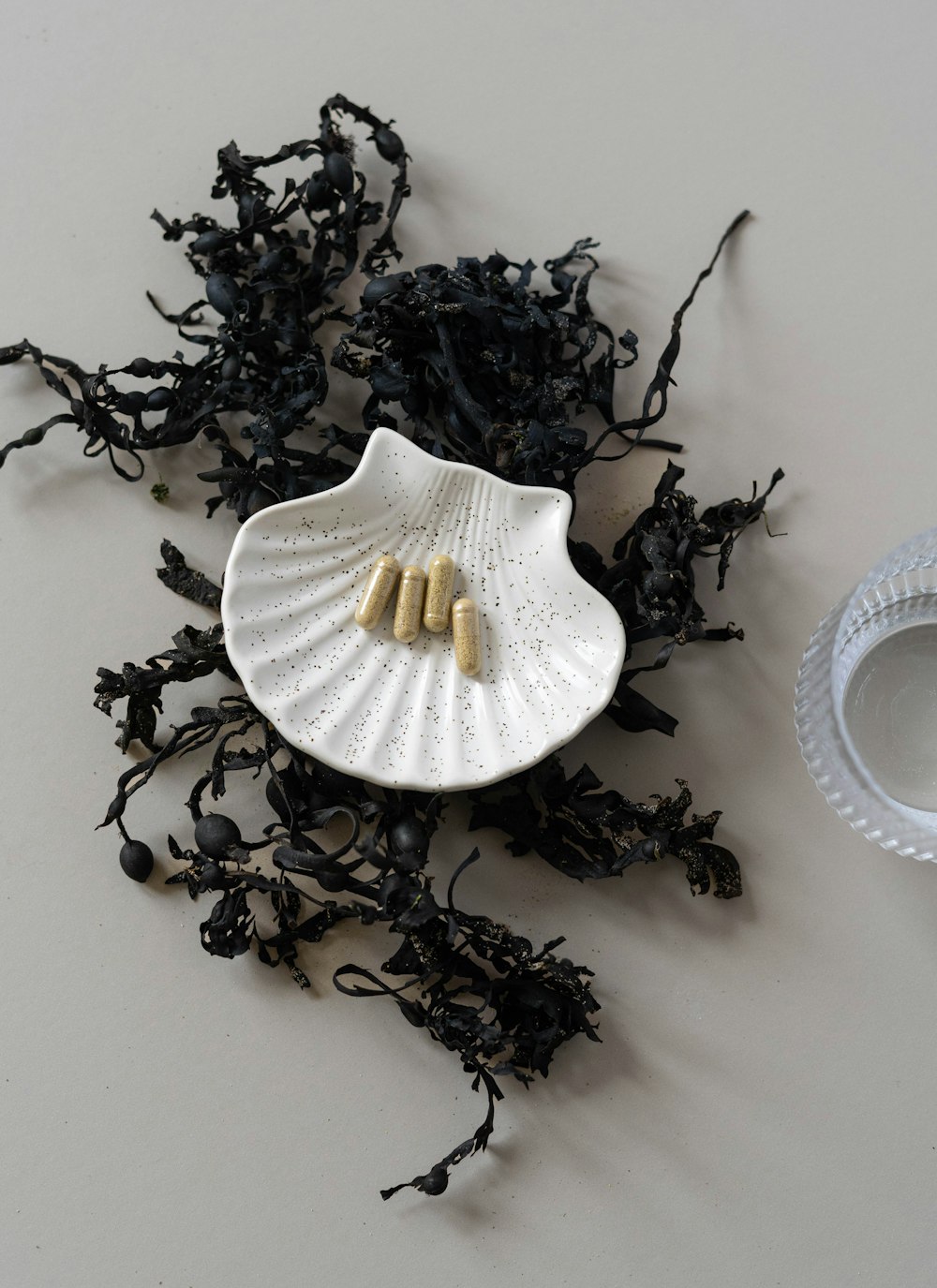 a sea shell and some black seaweed on a table