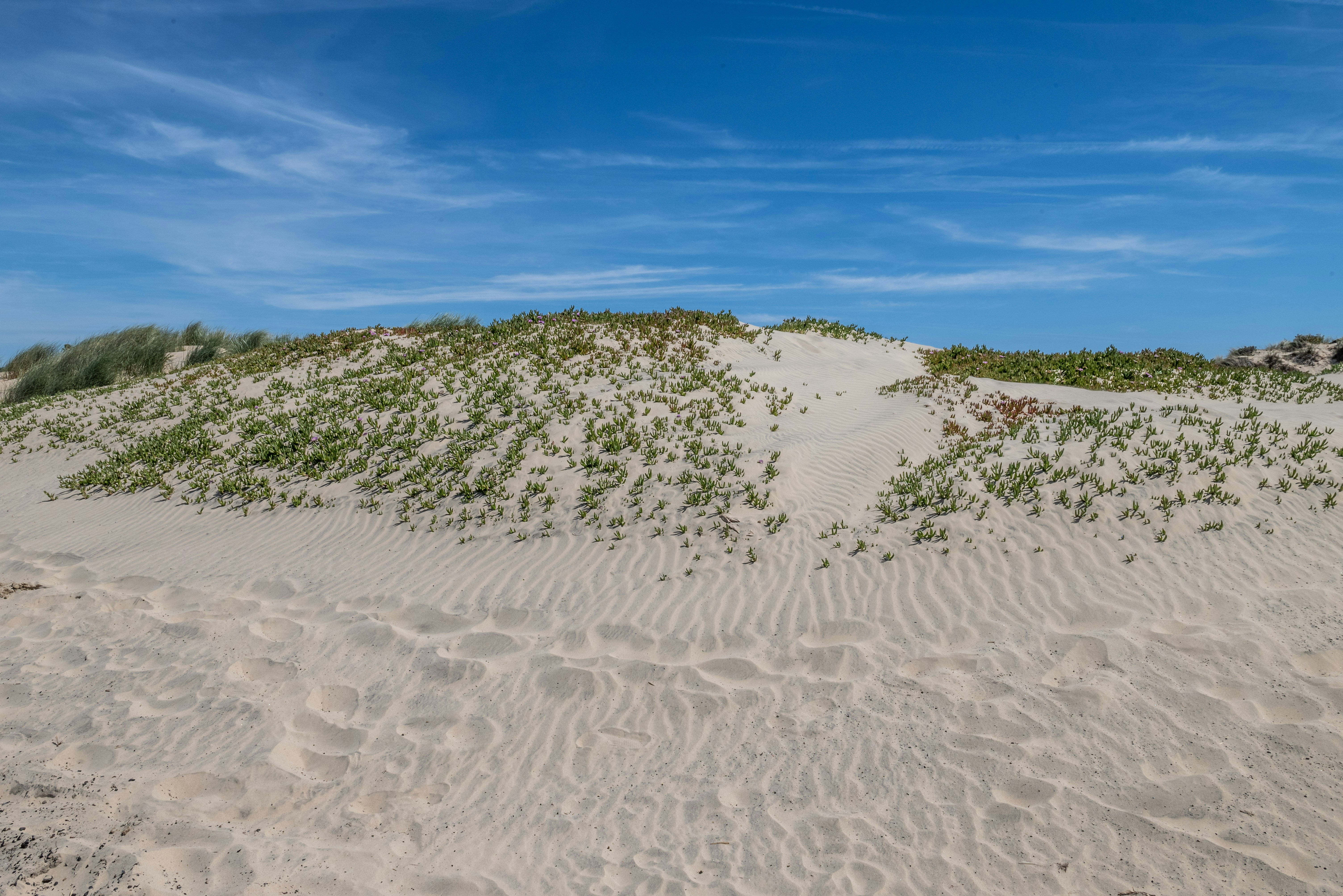 Photo by chabotphoto