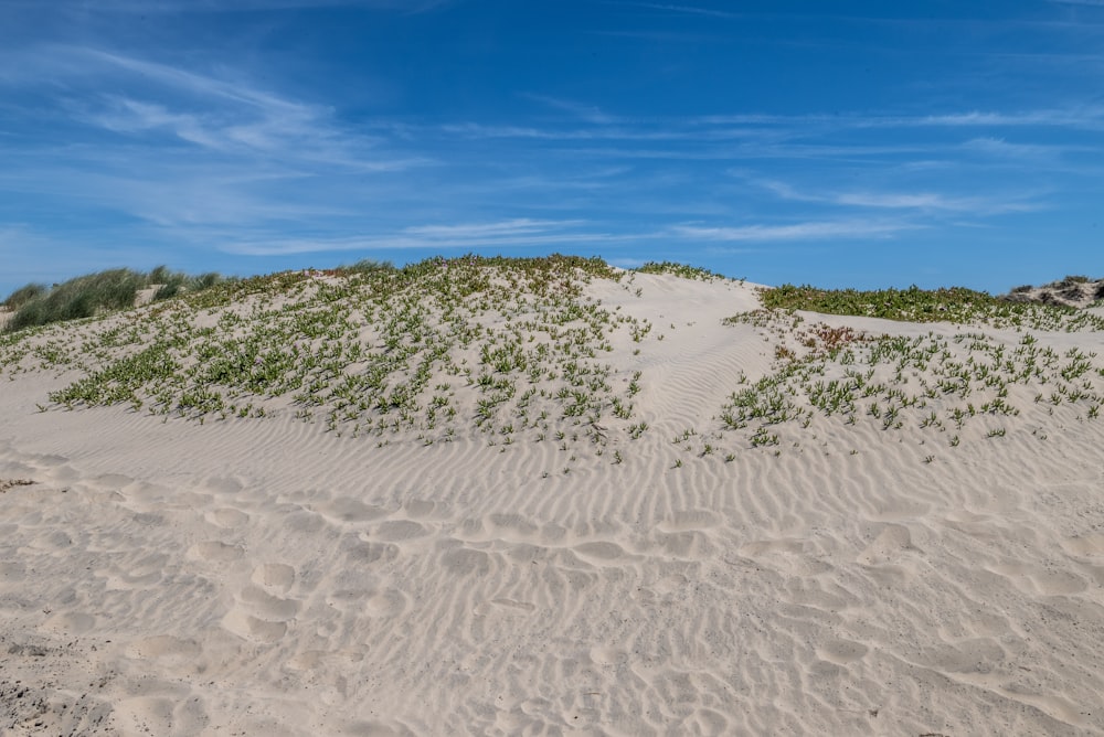 a sand dune with grass growing out of it